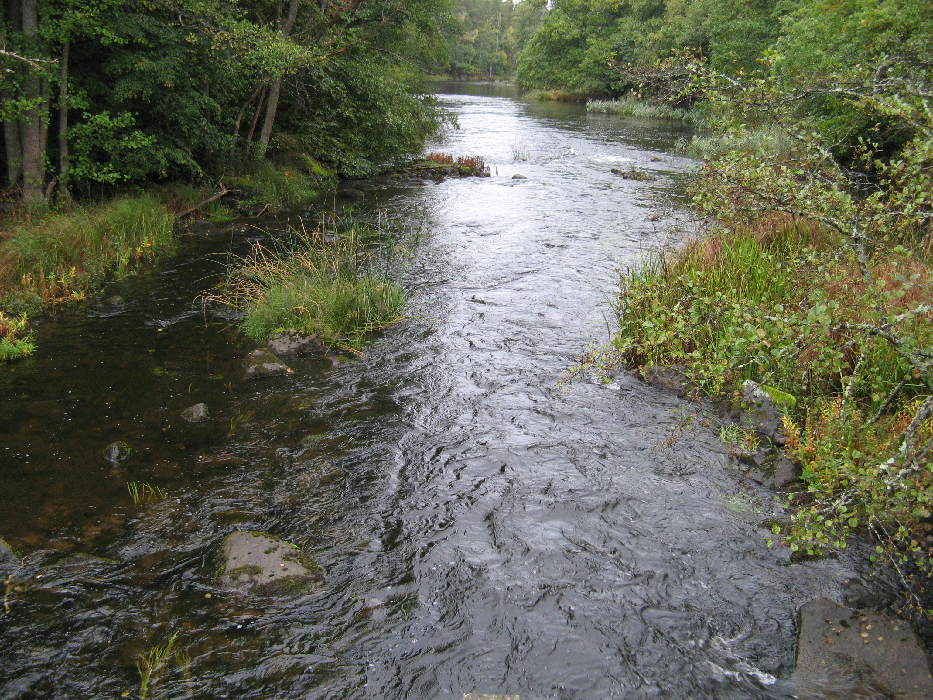 A stream water course of Emån, more upstream