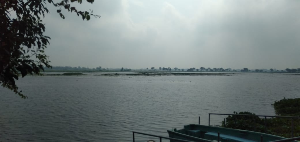 A panoramic view of Samaspur Wetlands