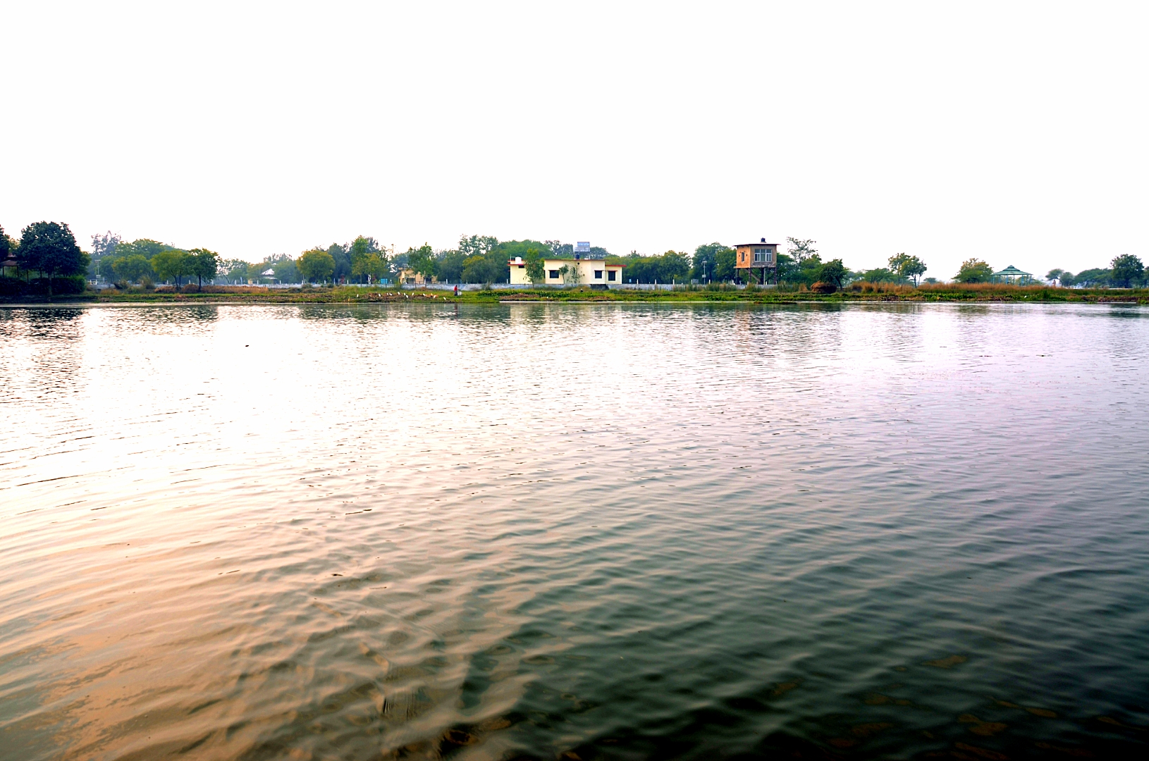 A panoramic view of Samaspur Wetlands