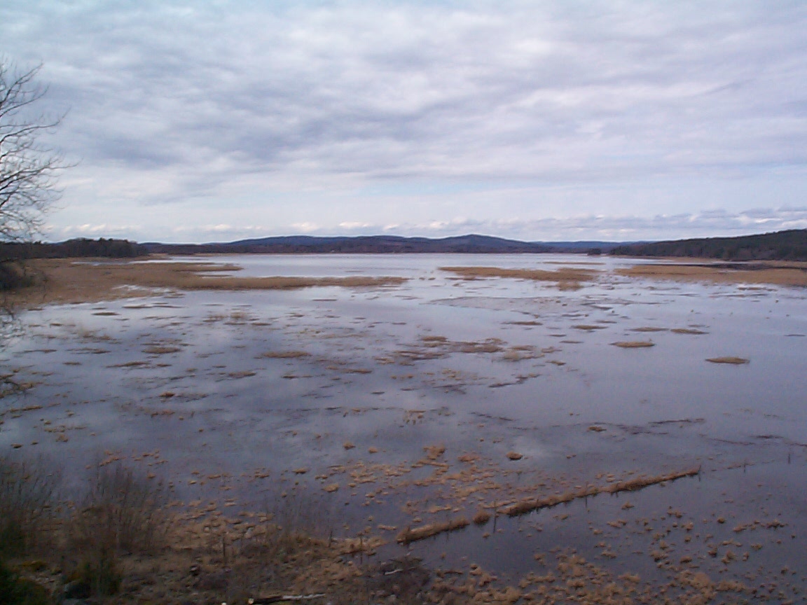 View over the lake Flinesjön