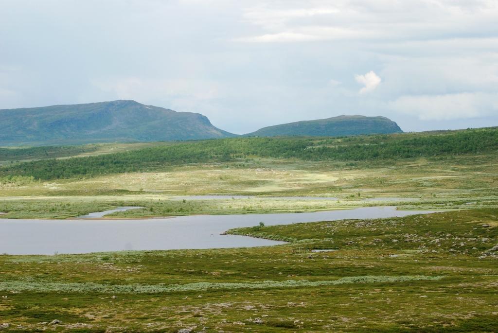 Tjålmejaure and surroundings