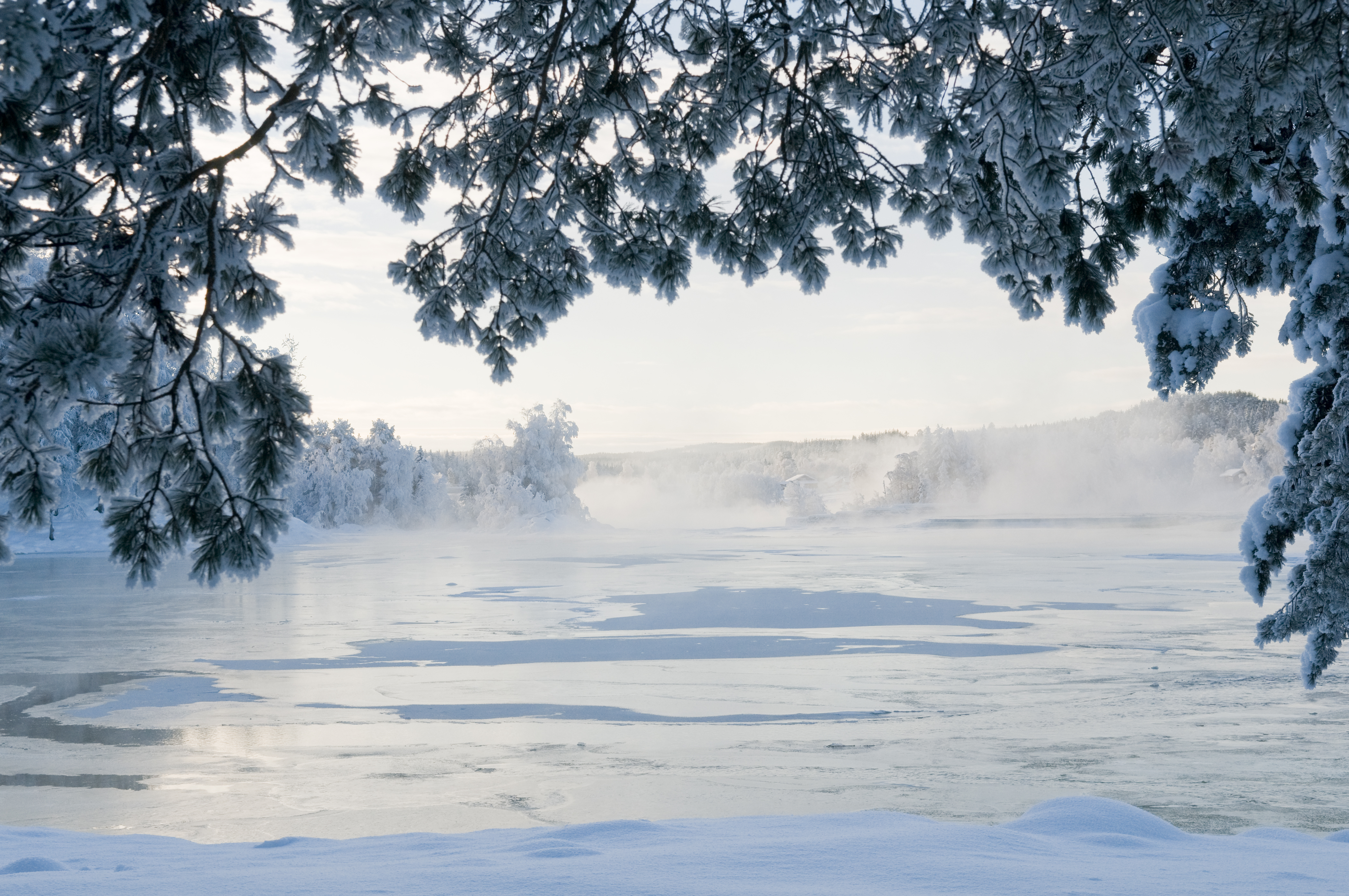 Vindelforsarna winter