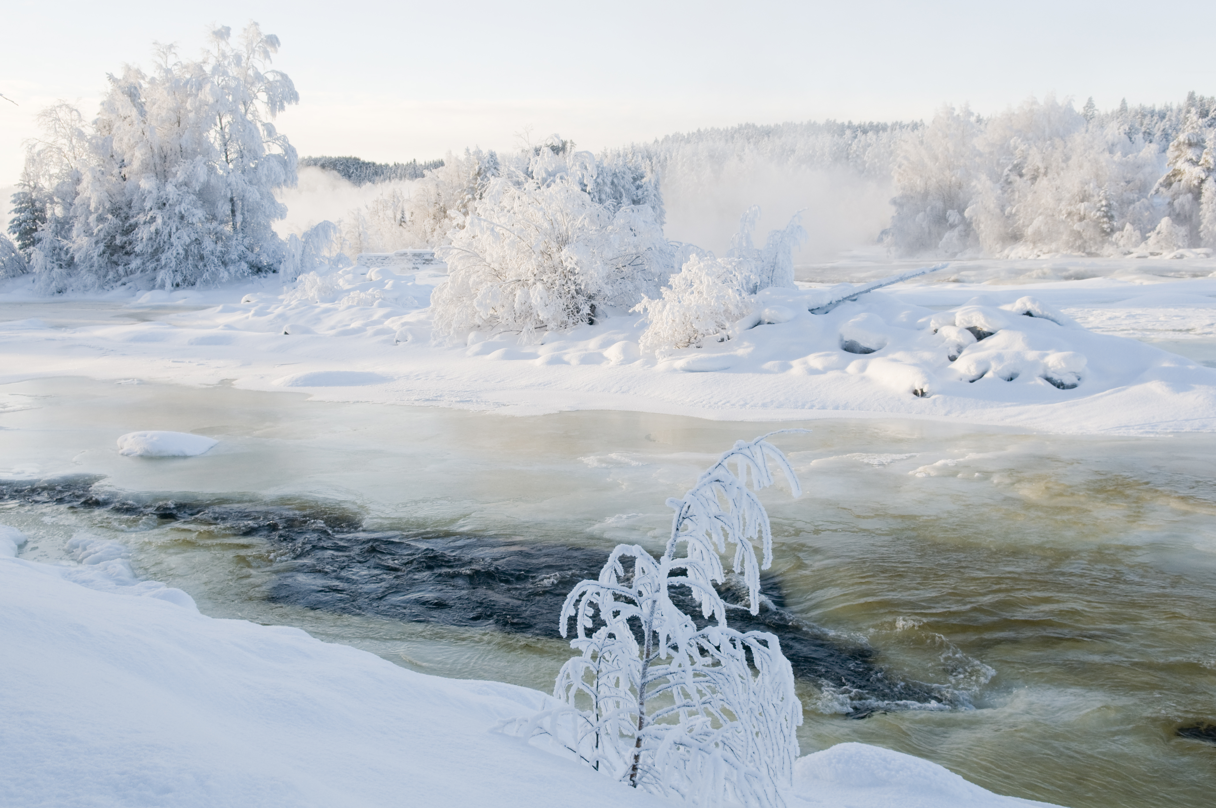 Vindelforsarna winter