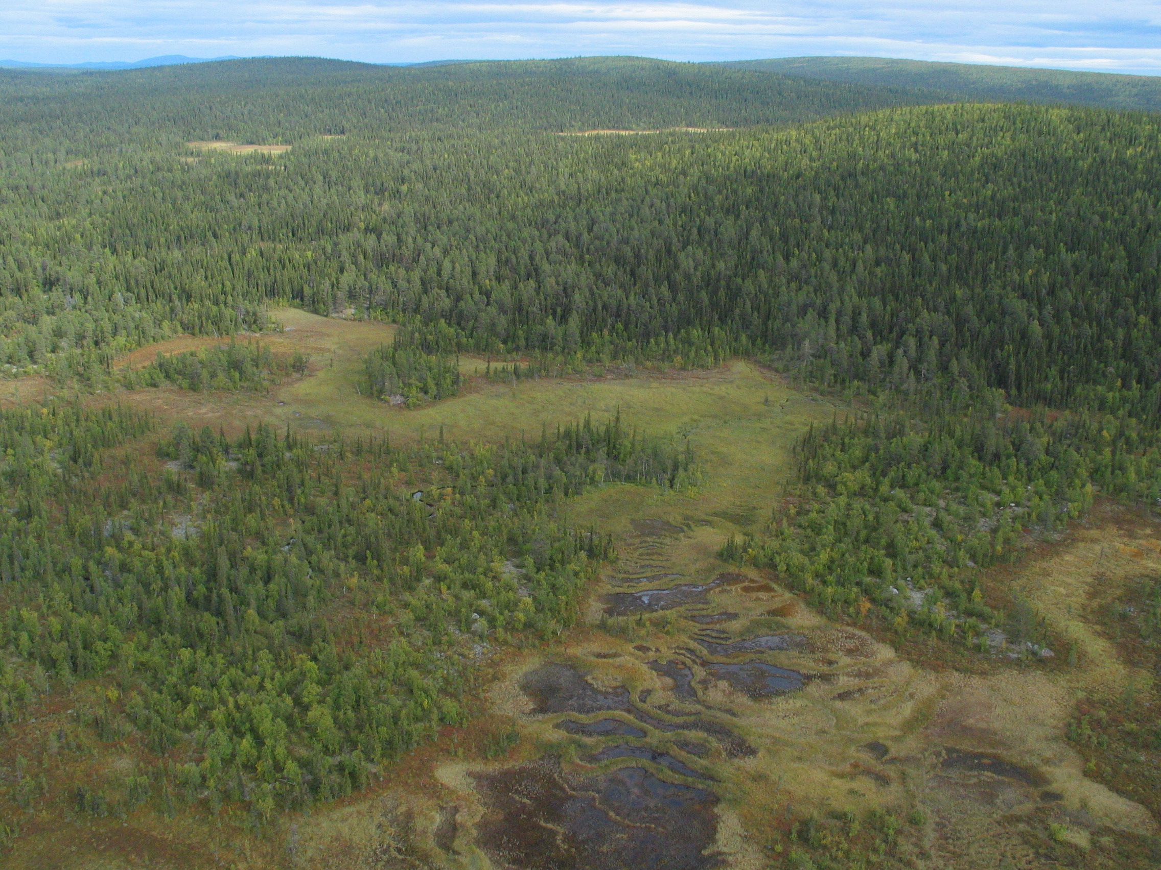 Landscape view Torneträsk-Soppero nature reserve.