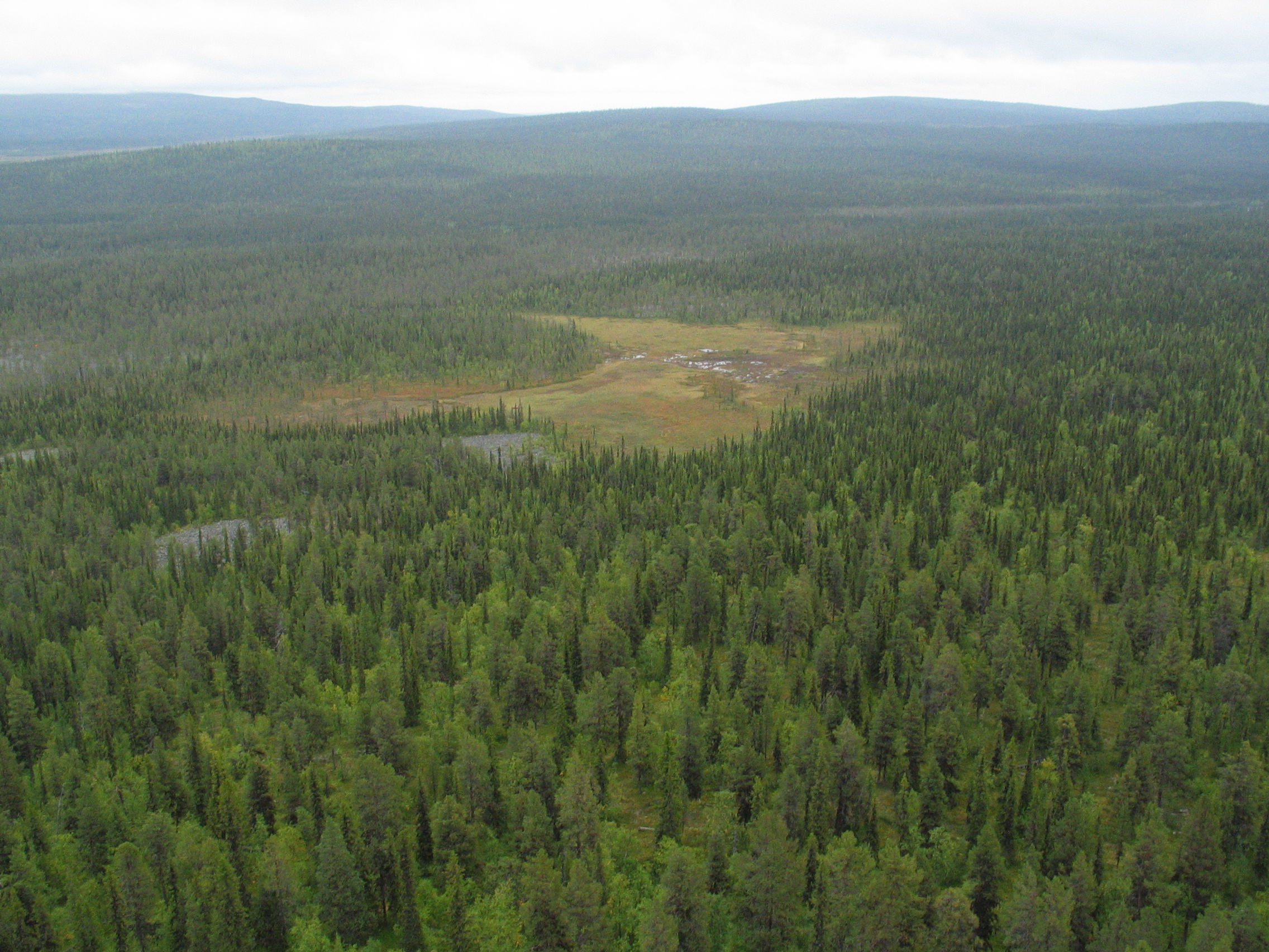 Landscape view Torneträsk-Soppero nature reserve