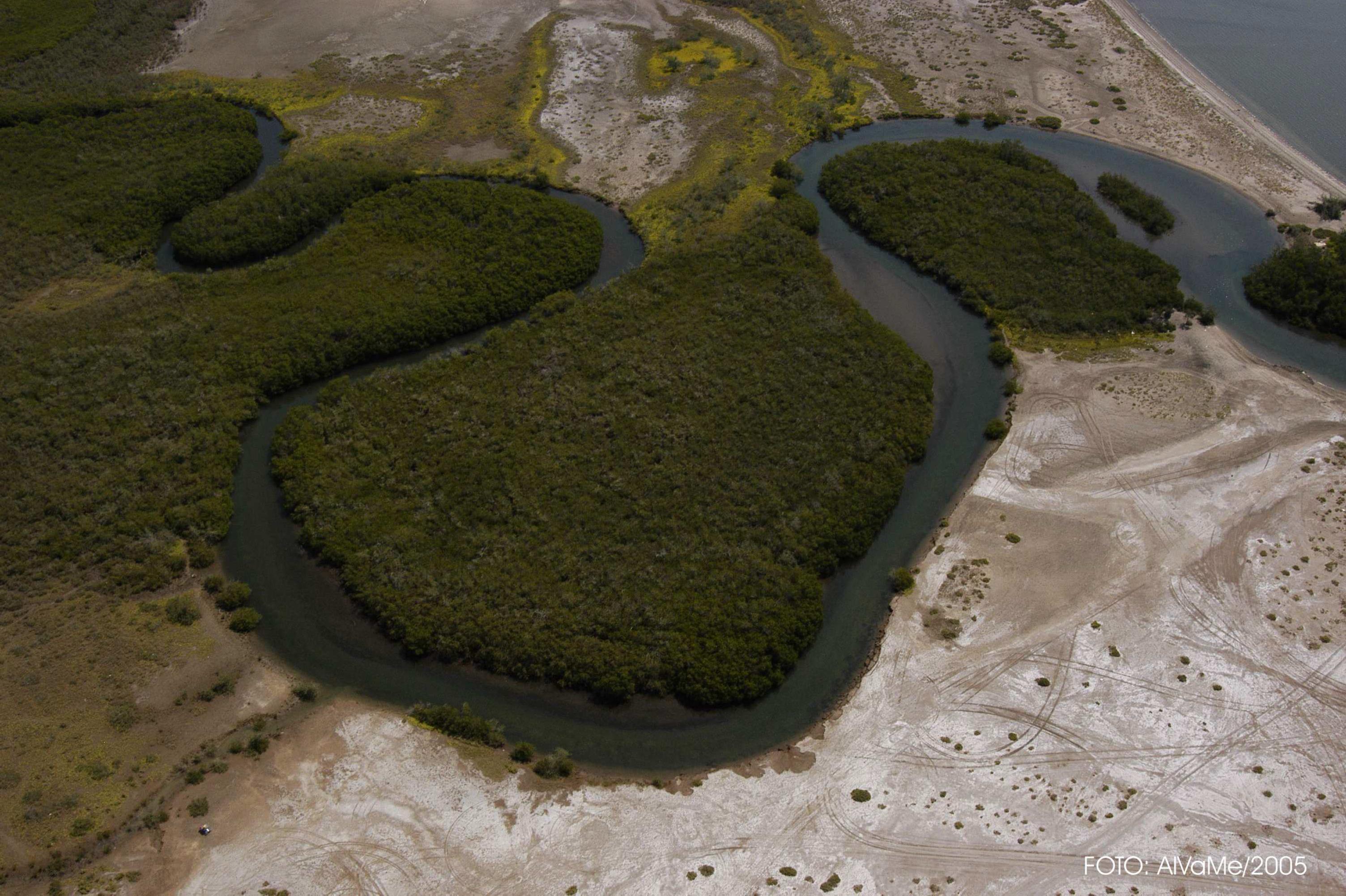 Estero Zacatecas Detalle