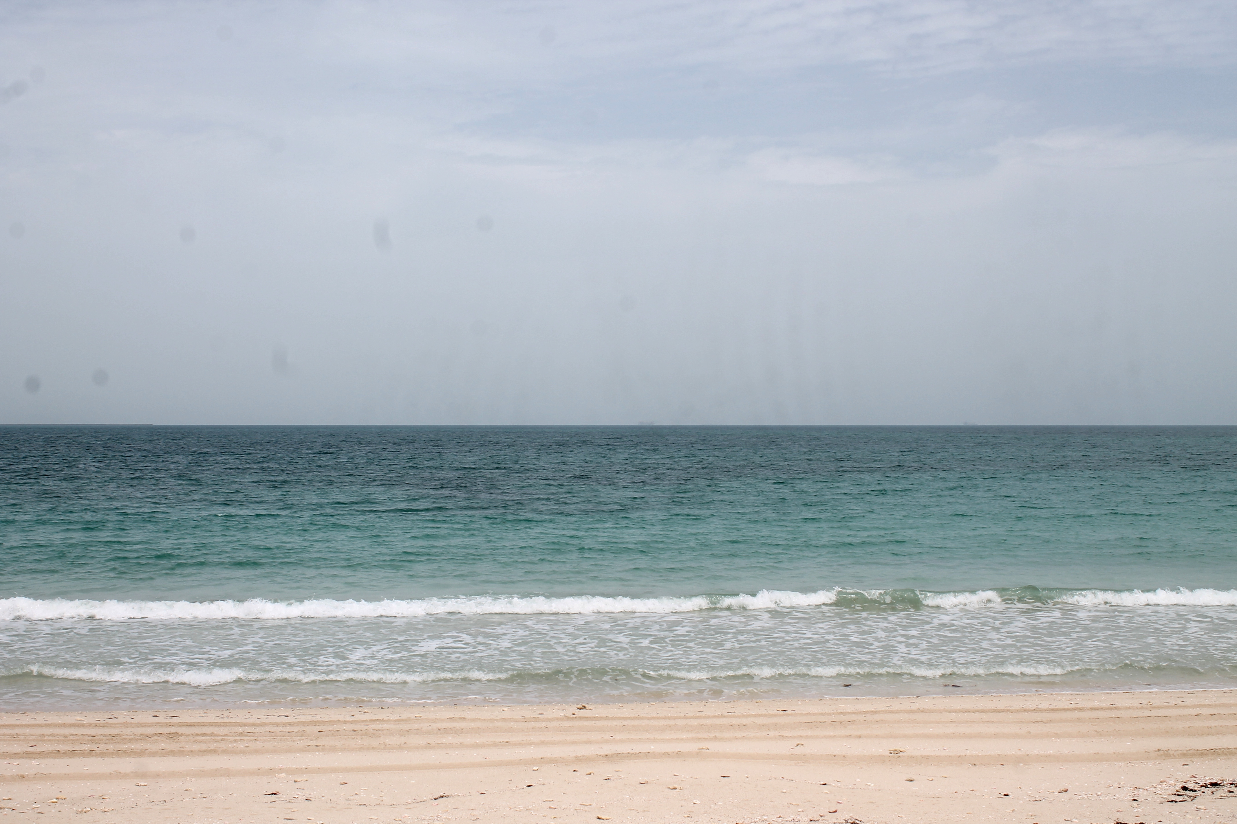 Jabal Ali Wetland Sanctuary Coastal Area