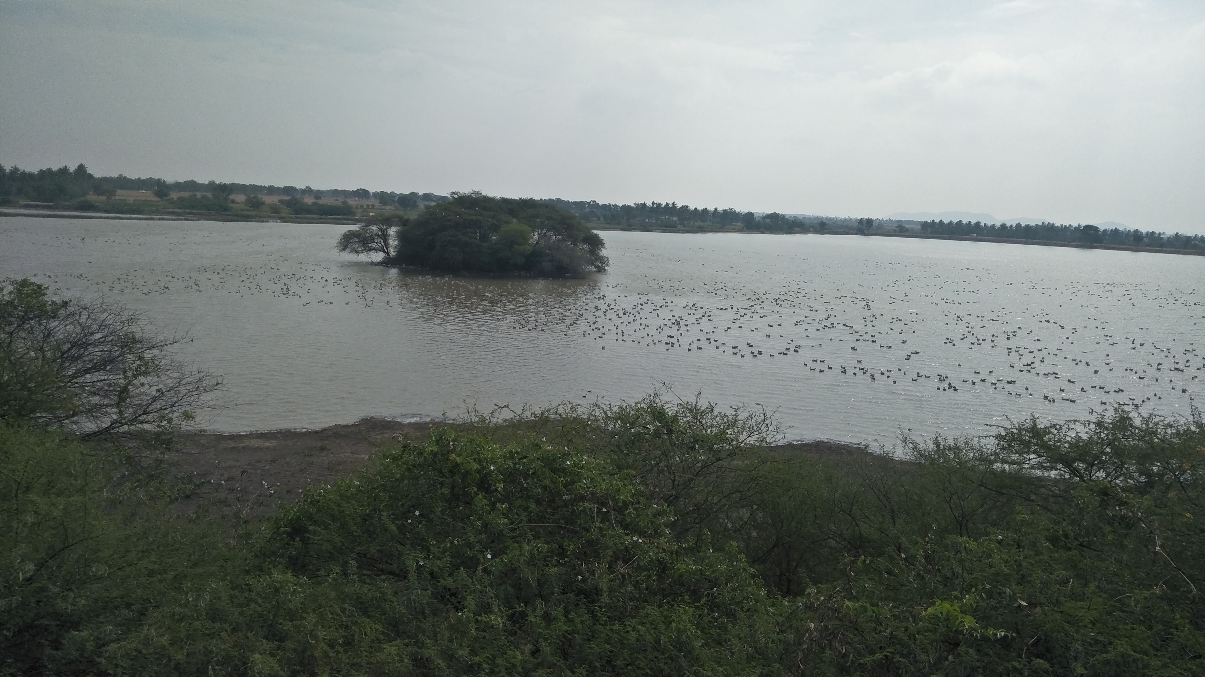 Panoramic view of Magadi kere