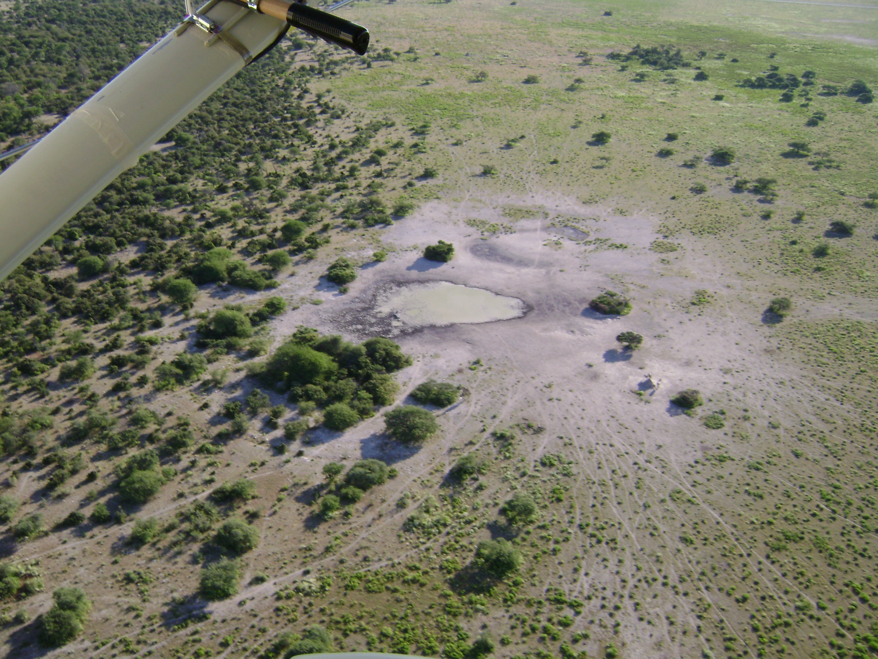 Ephemeral waterhole formed during the rainy season.
