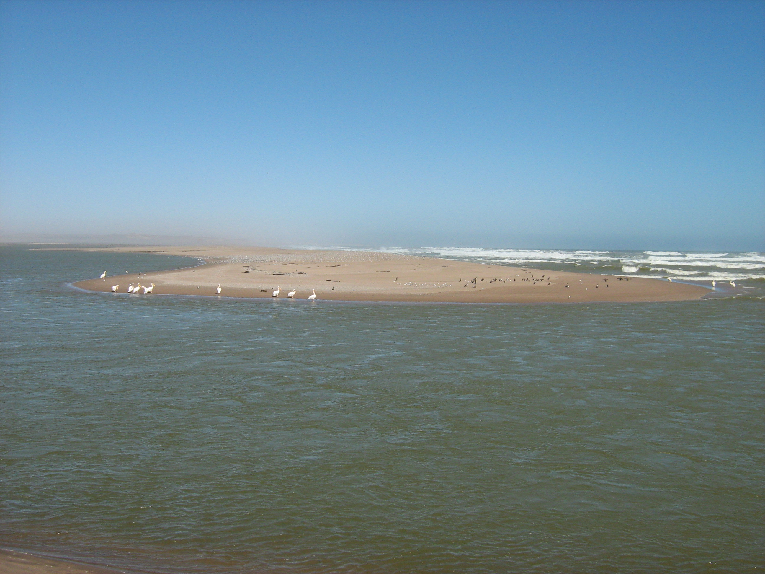 The Orange River Mouth from the Namibian side looking south.  Pelicans, cormorants and large flocks of terns are using the sandspit as a roost.