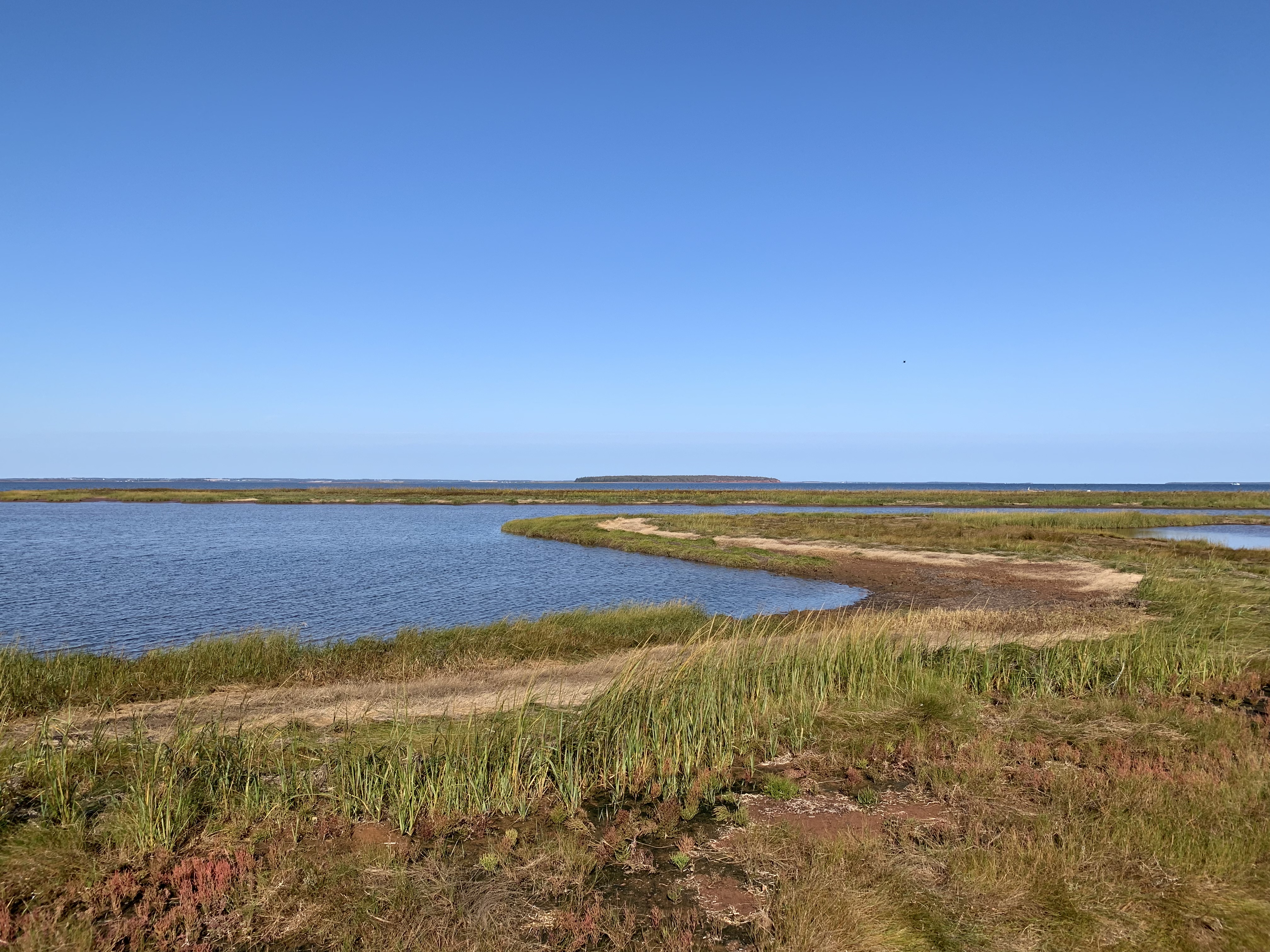 Shot of Malpeque Bay from Malpeque Bay Salt Marsh Provincial Natural Area within the RAMSAR site