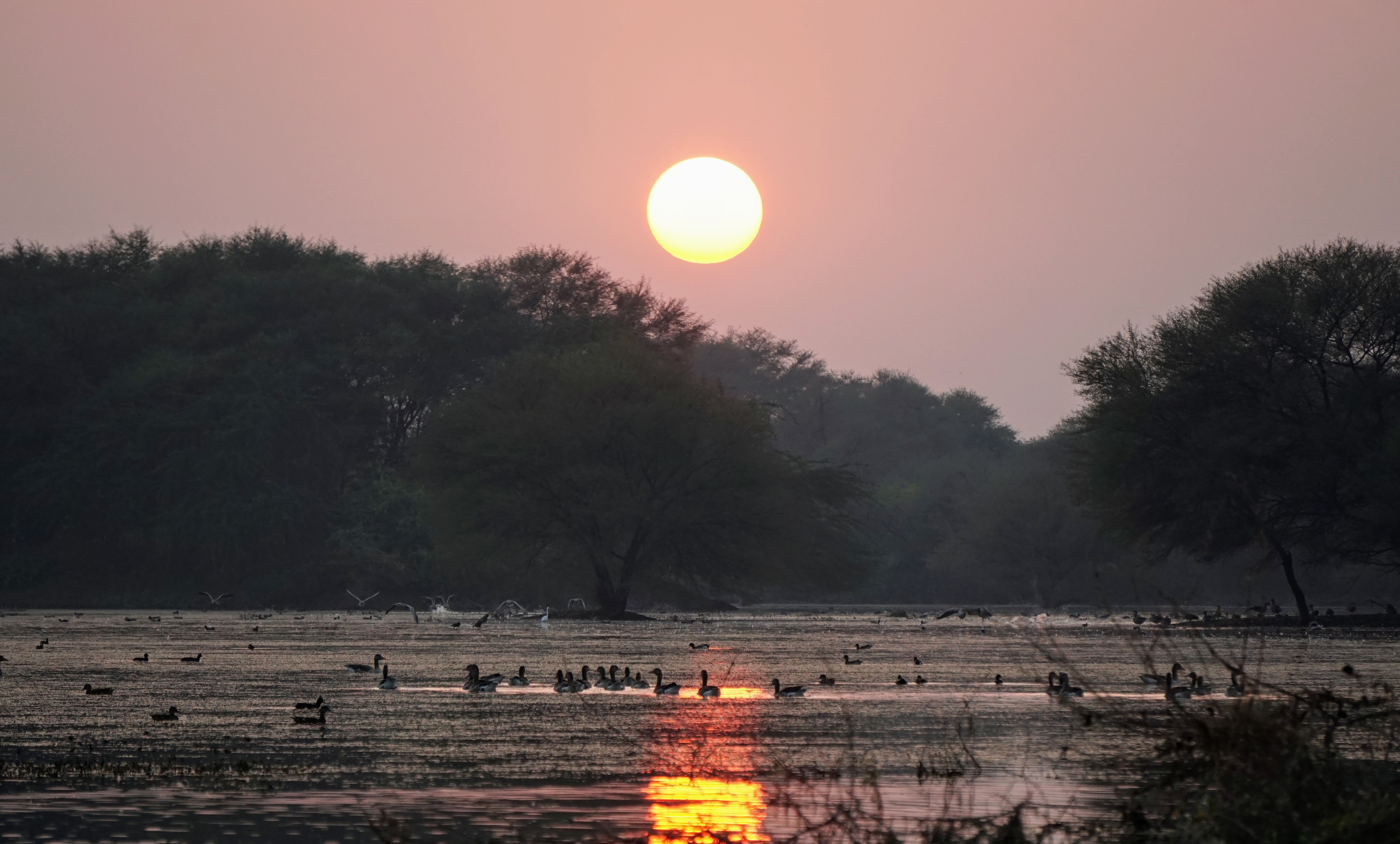 landscape of Thol  