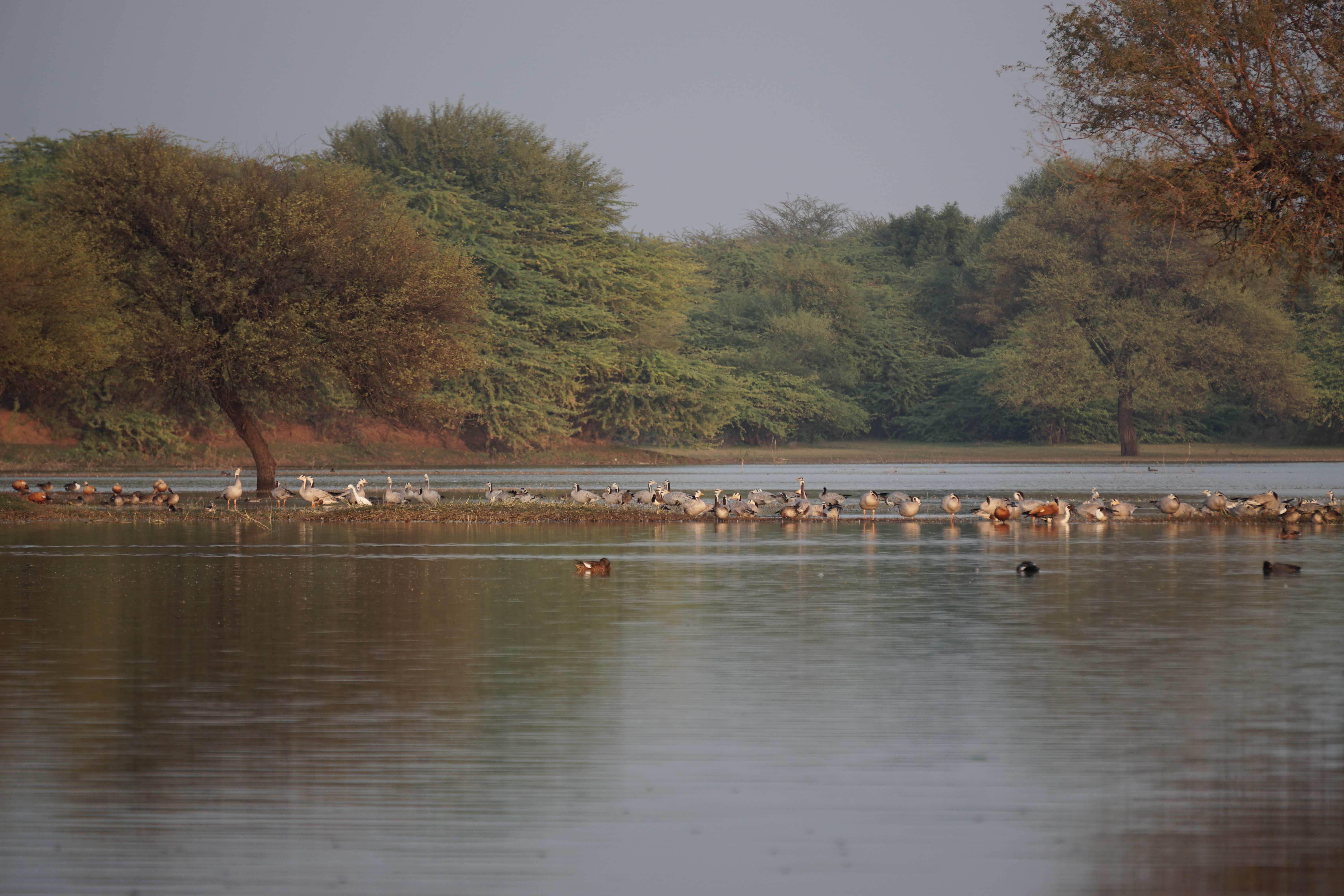 landscape of Thol