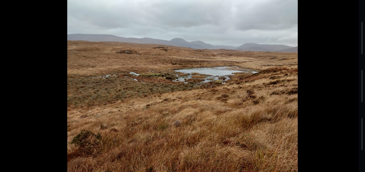 Pools on Meenachullion Bog