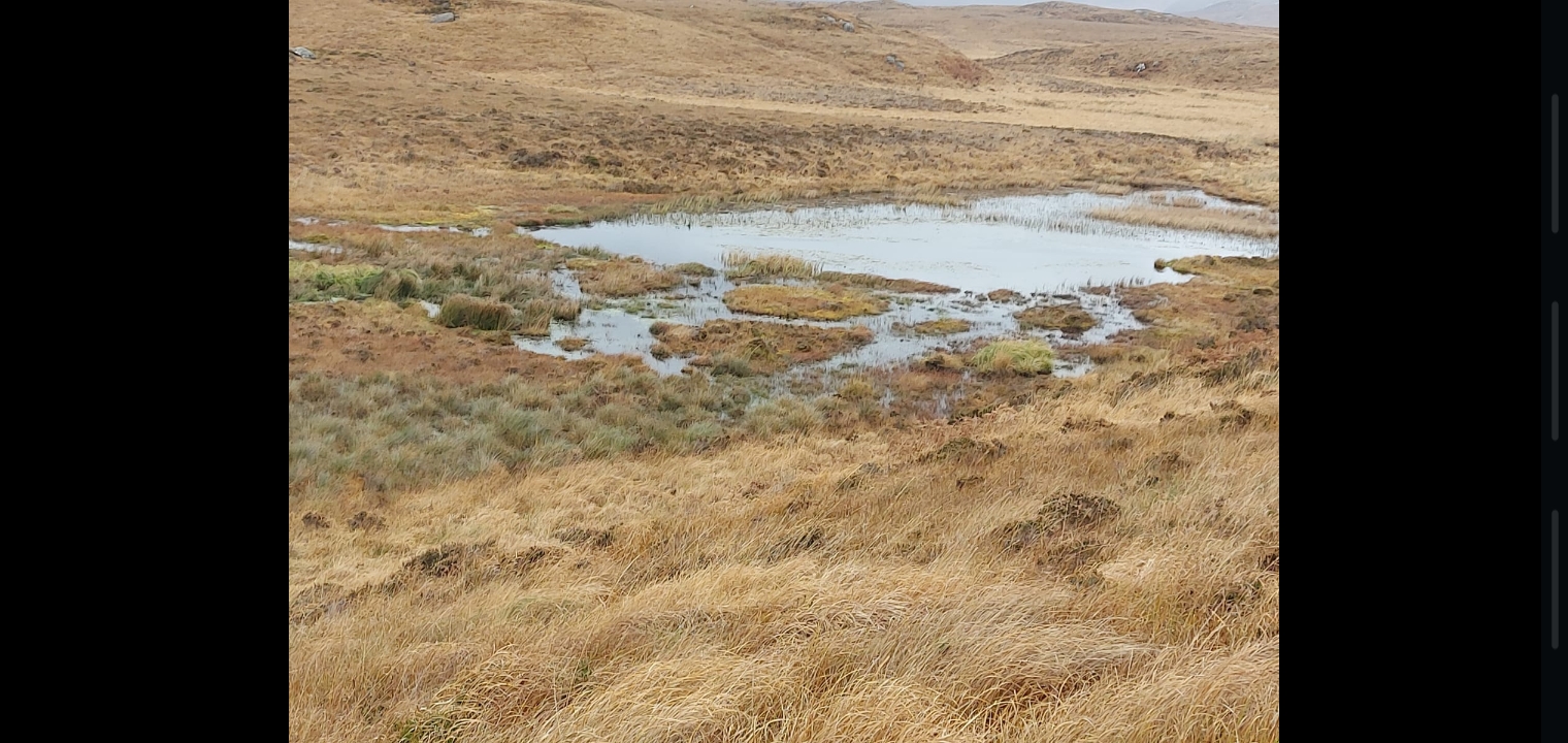 Pools on Meenachullion Bog