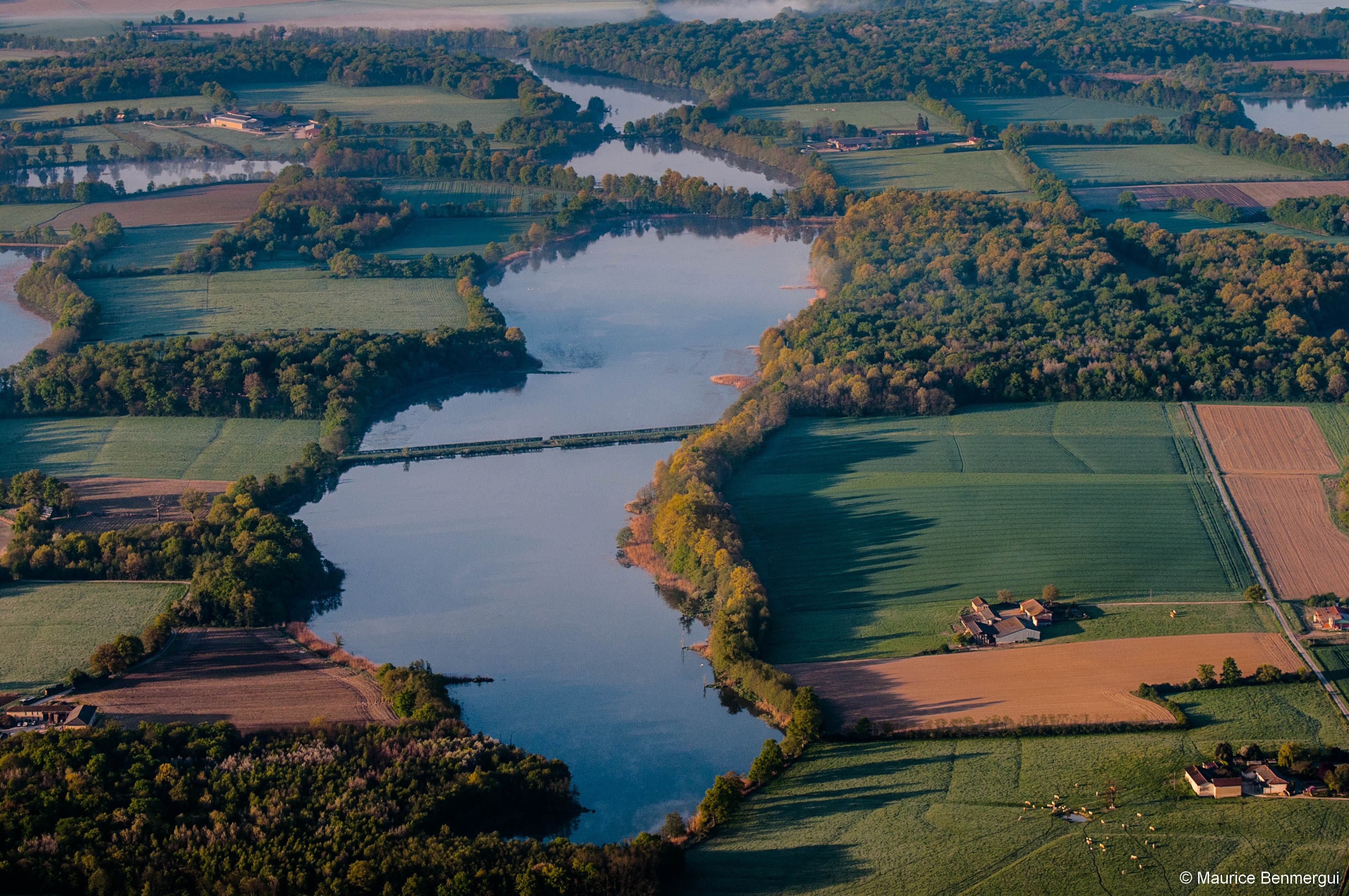 Etangs de la Dombes