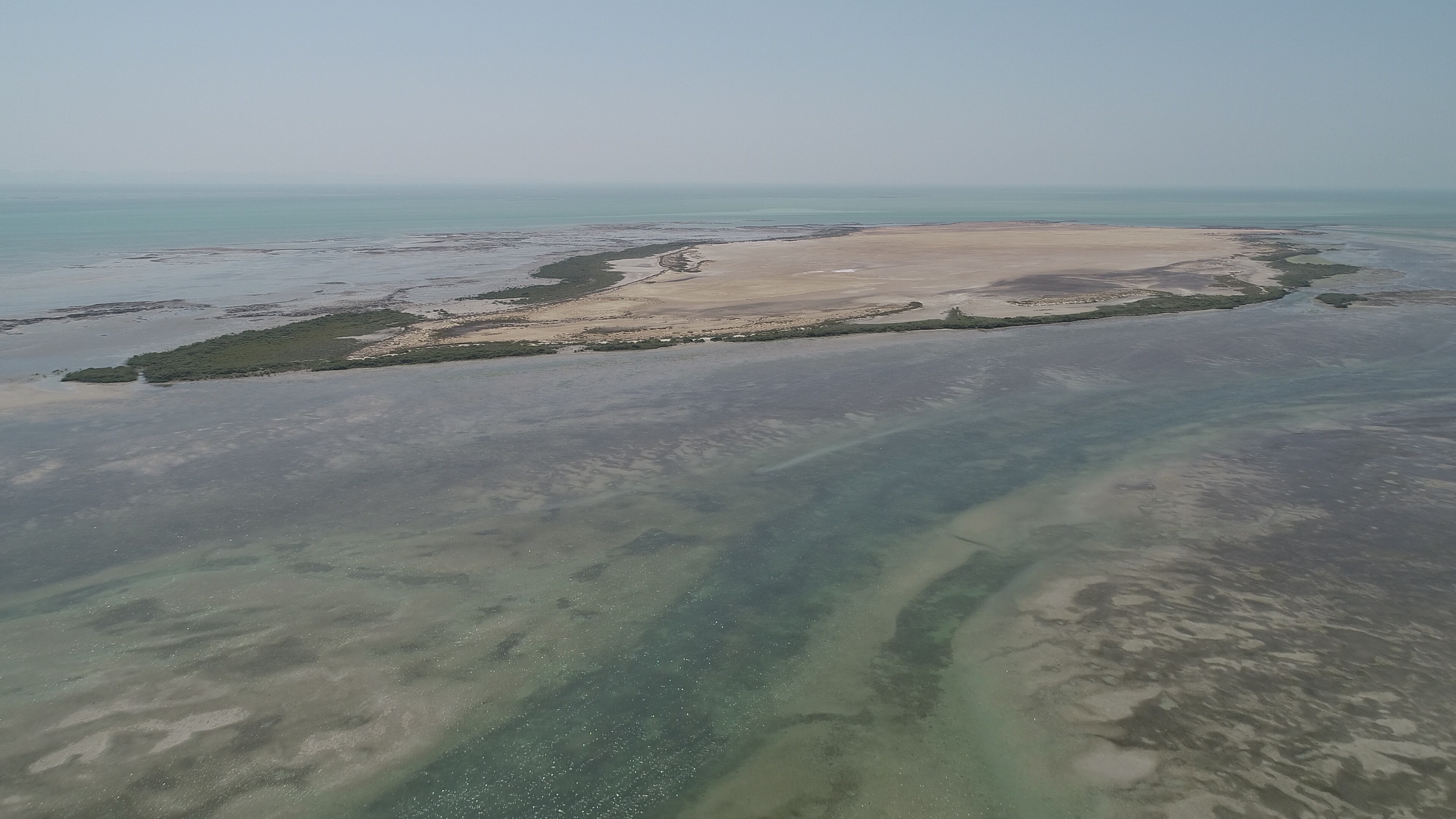 Intertidal mudflats near Shannah 