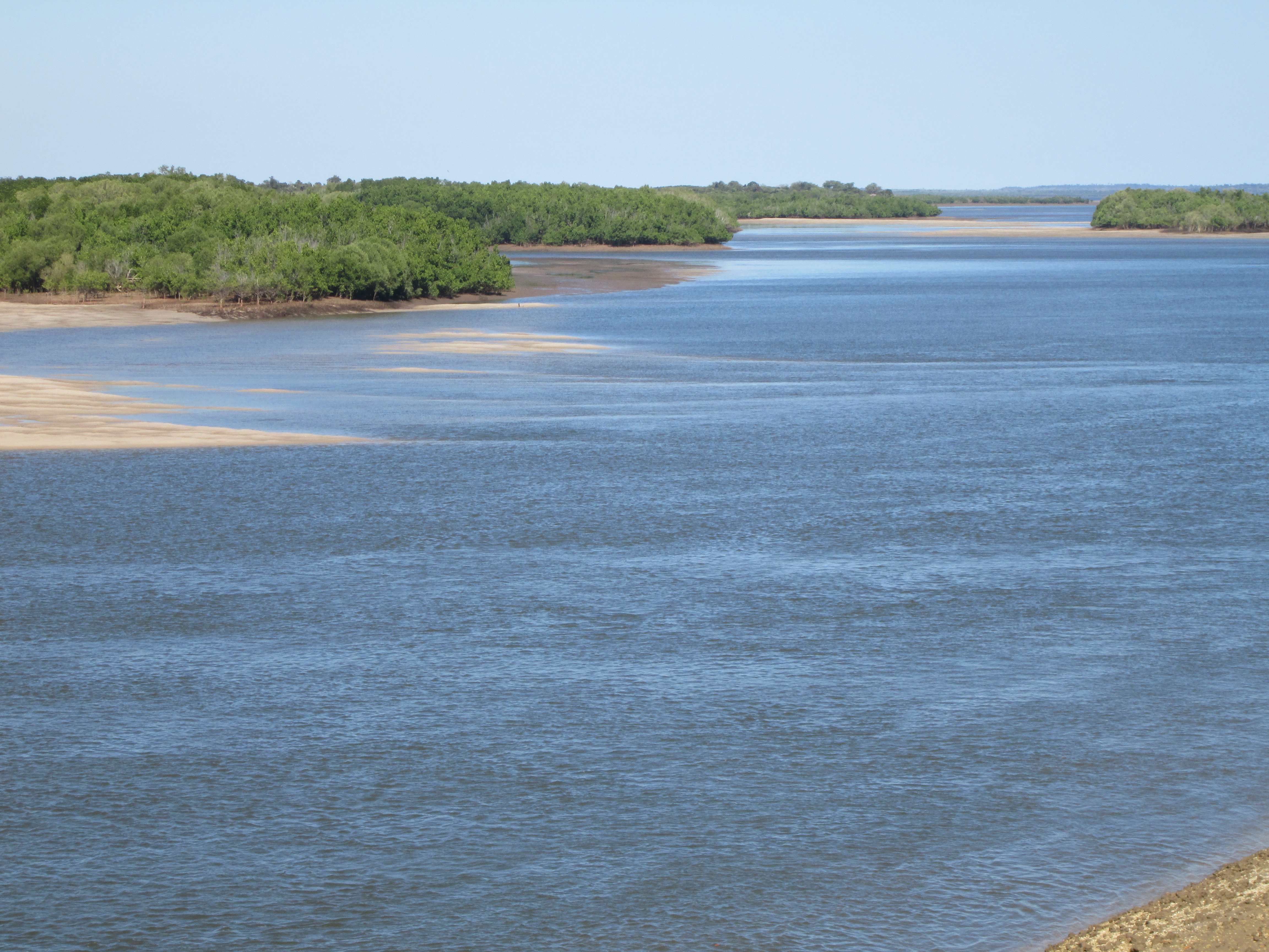 Mangroves d'Antrema