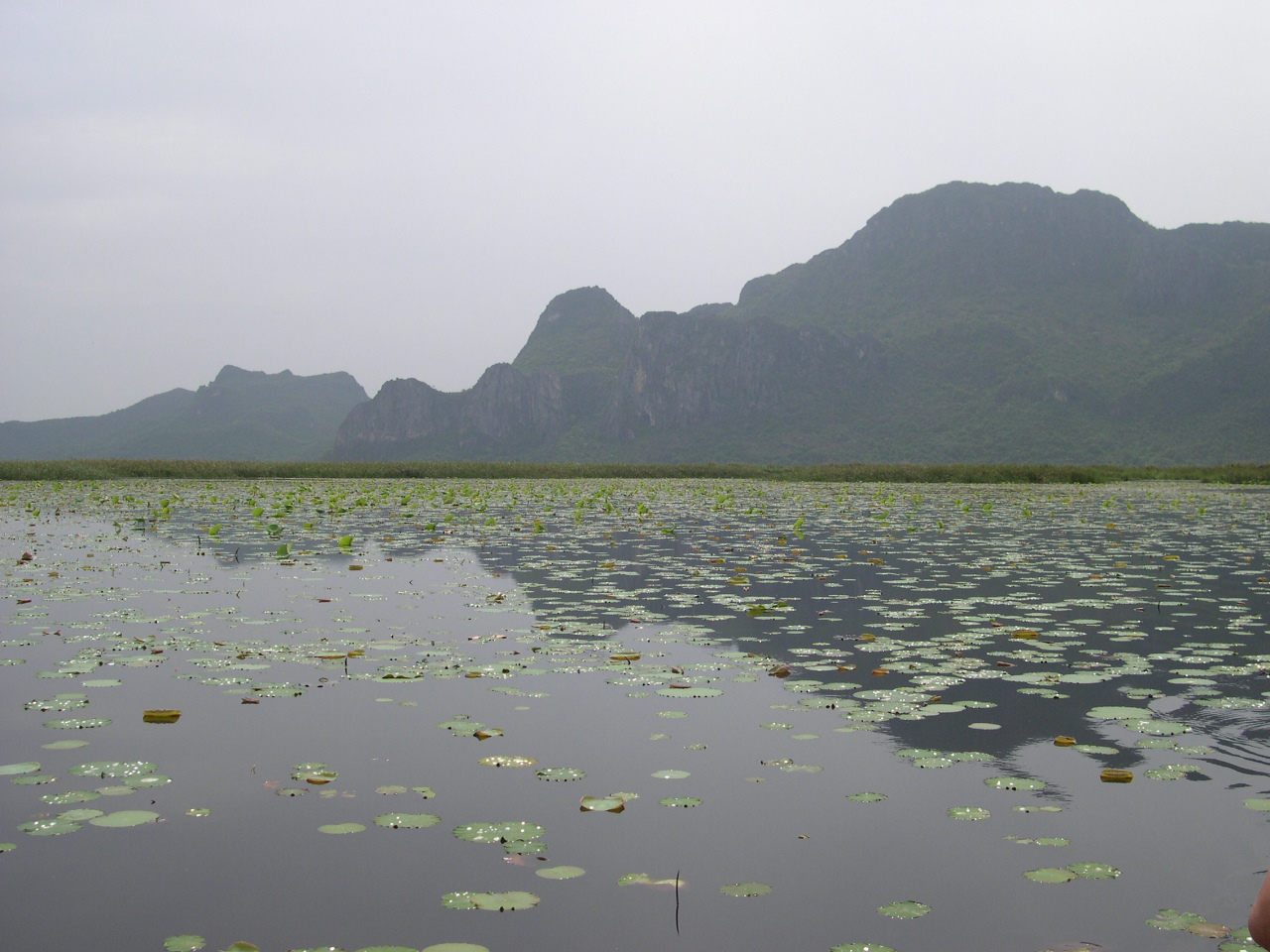 Khao Sam Roi Yot Wetland