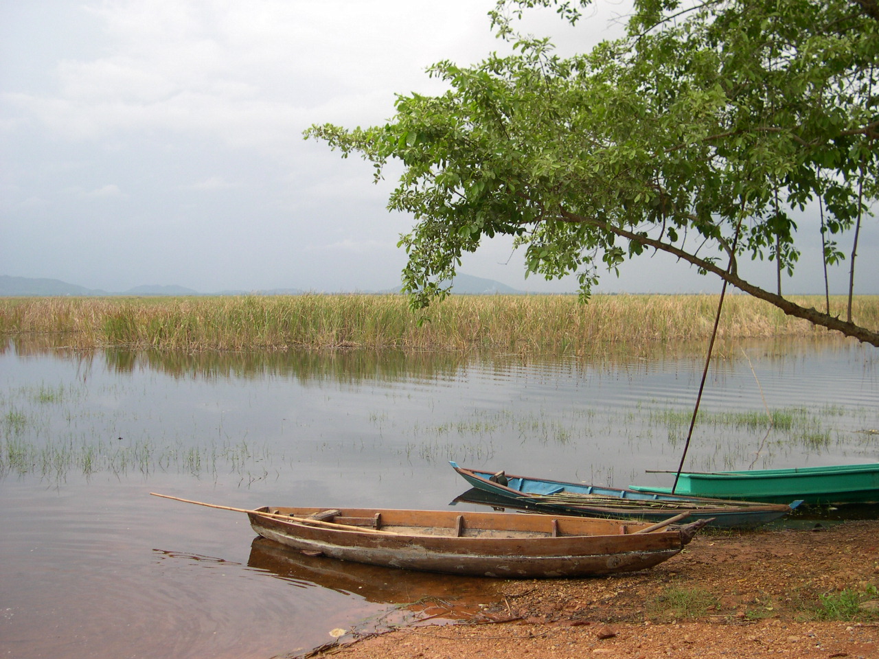 Khao Sam Roi Yot Wetland