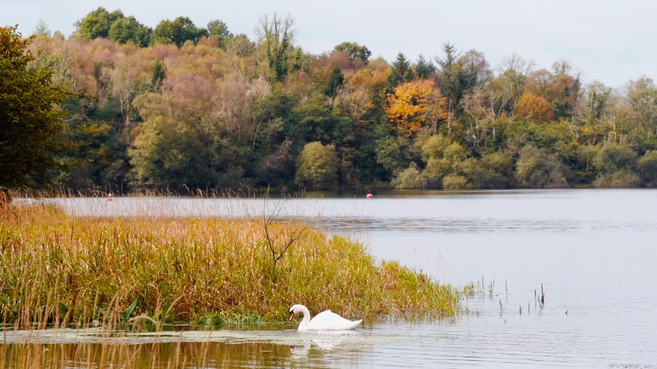 Lough Oughter