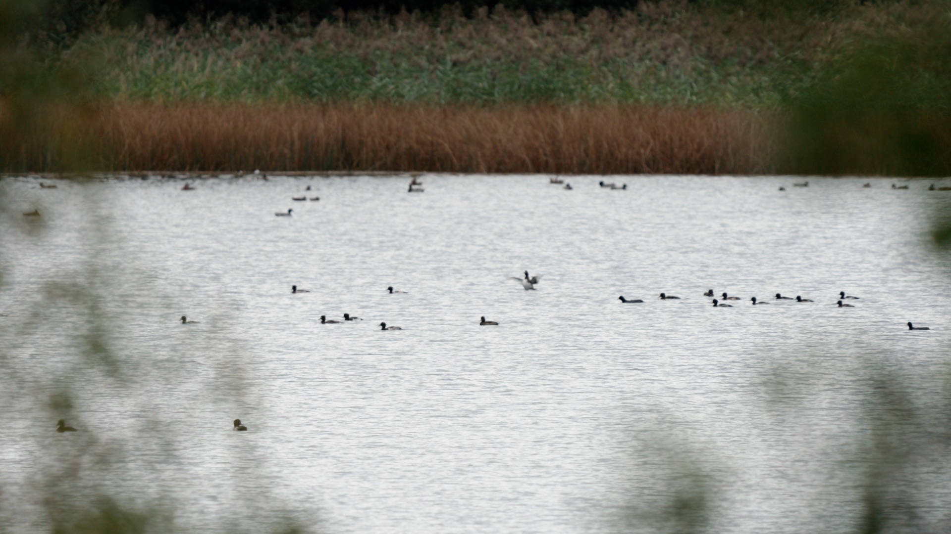 Lough Oughter