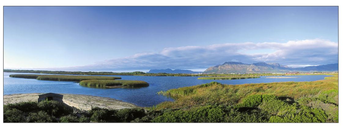 Rondevlei (looking southwards over the vlei towards Muizenberg Peak and Cape Point) 
