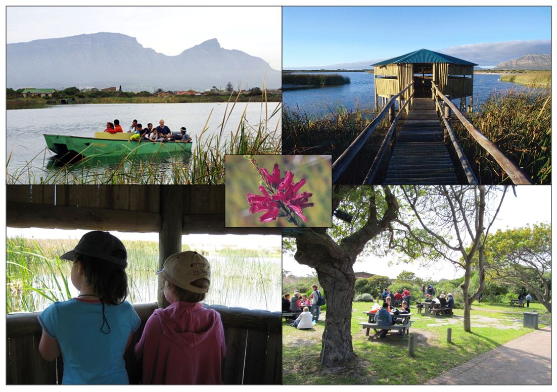 Top Left: Boat trip on Rondevlei; Top Right and Bottom Left: Bird hides at Rondevlei; Bottom Right: Picnic Area at Rondevlei; Centre: Erica Verticillata (Cape Flats Erica) classified as  ‘Extinct in the Wild’, and now growing at  Rondevlei