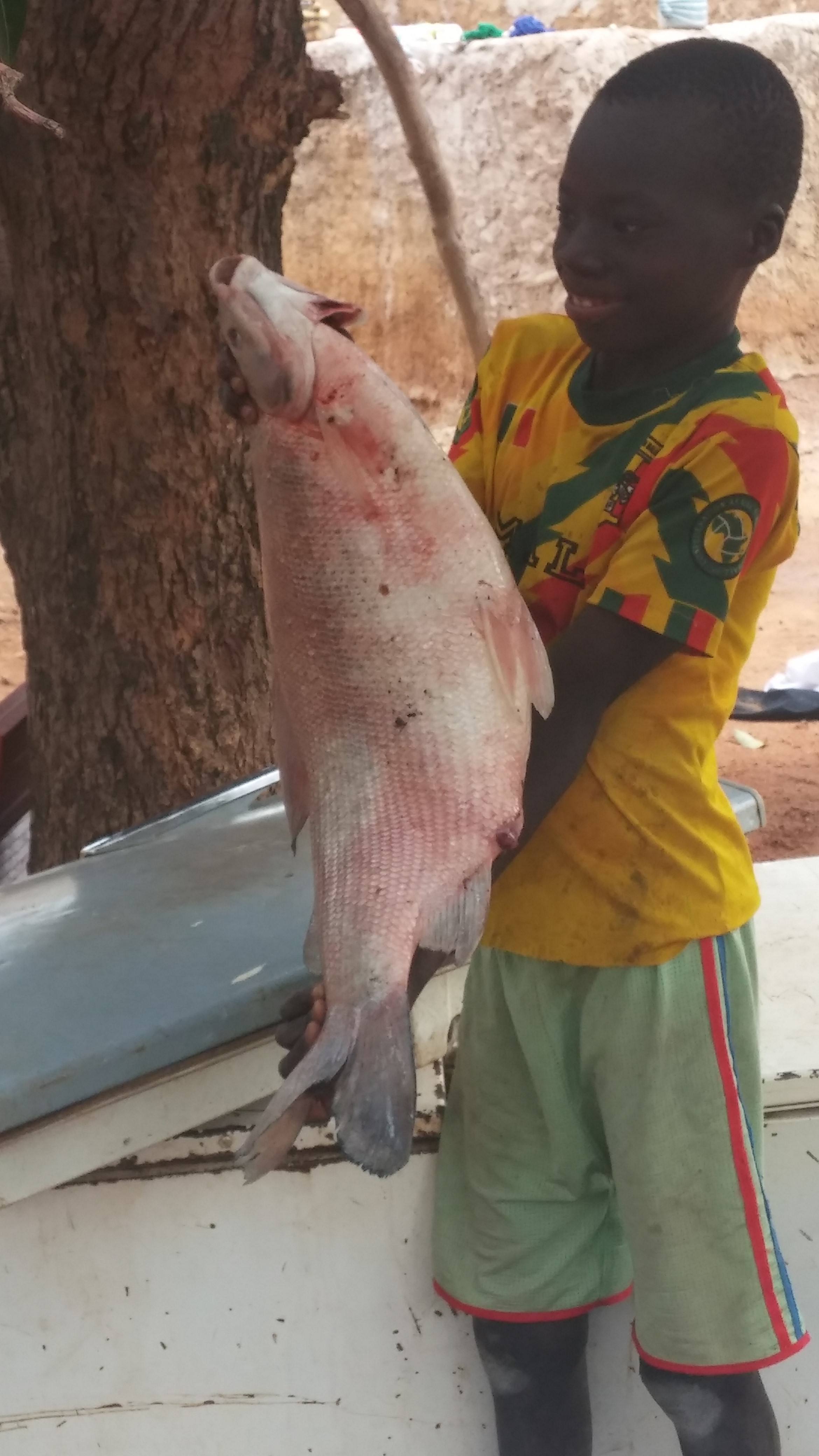 Photo 5: Poisson pêché dans le site Ramsar