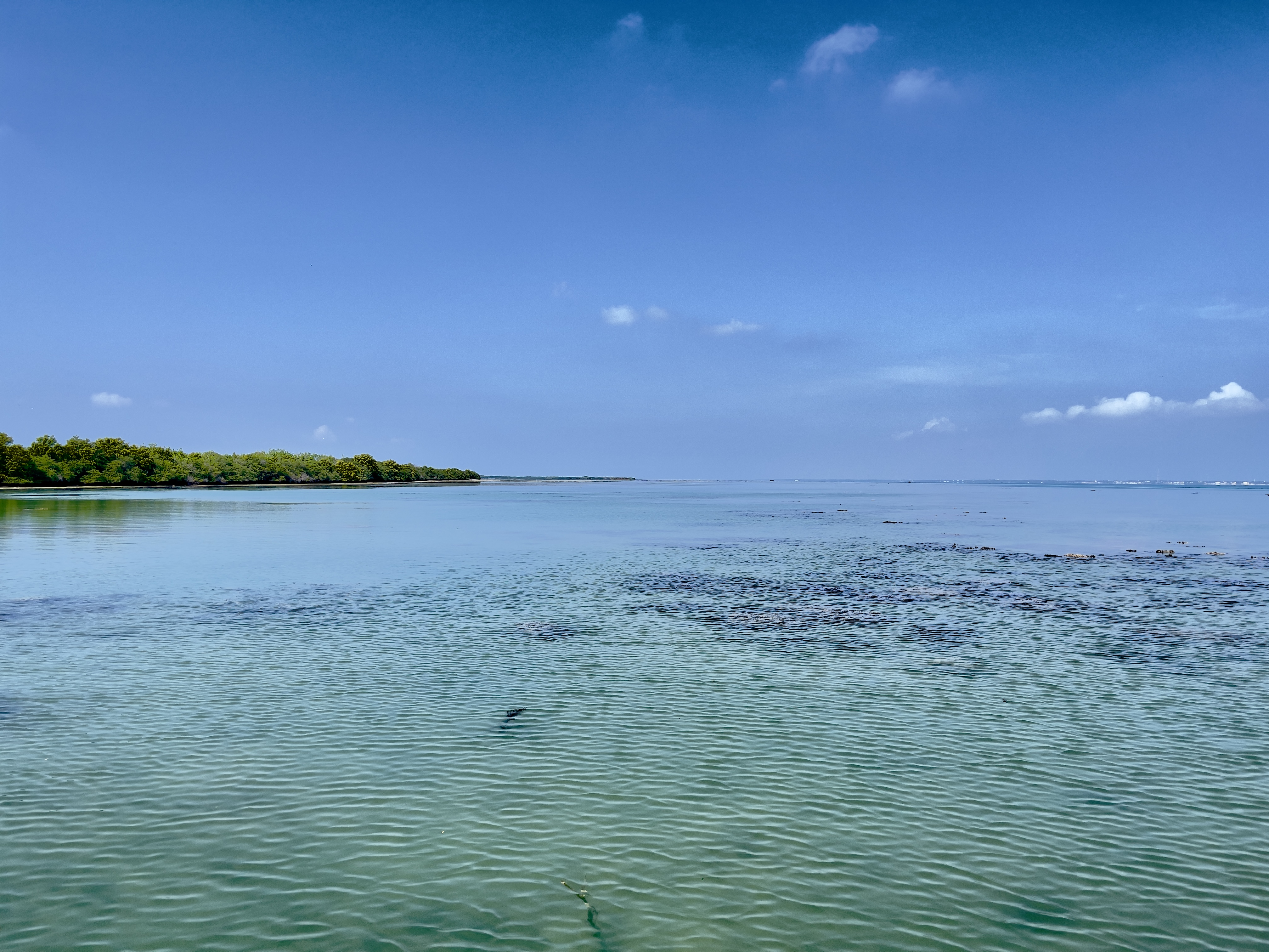 Panoramic view of Gulf of Mannar Marine Biosphere Reserve 