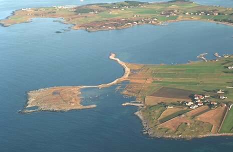 Aerial photo of sub-site Børaunen