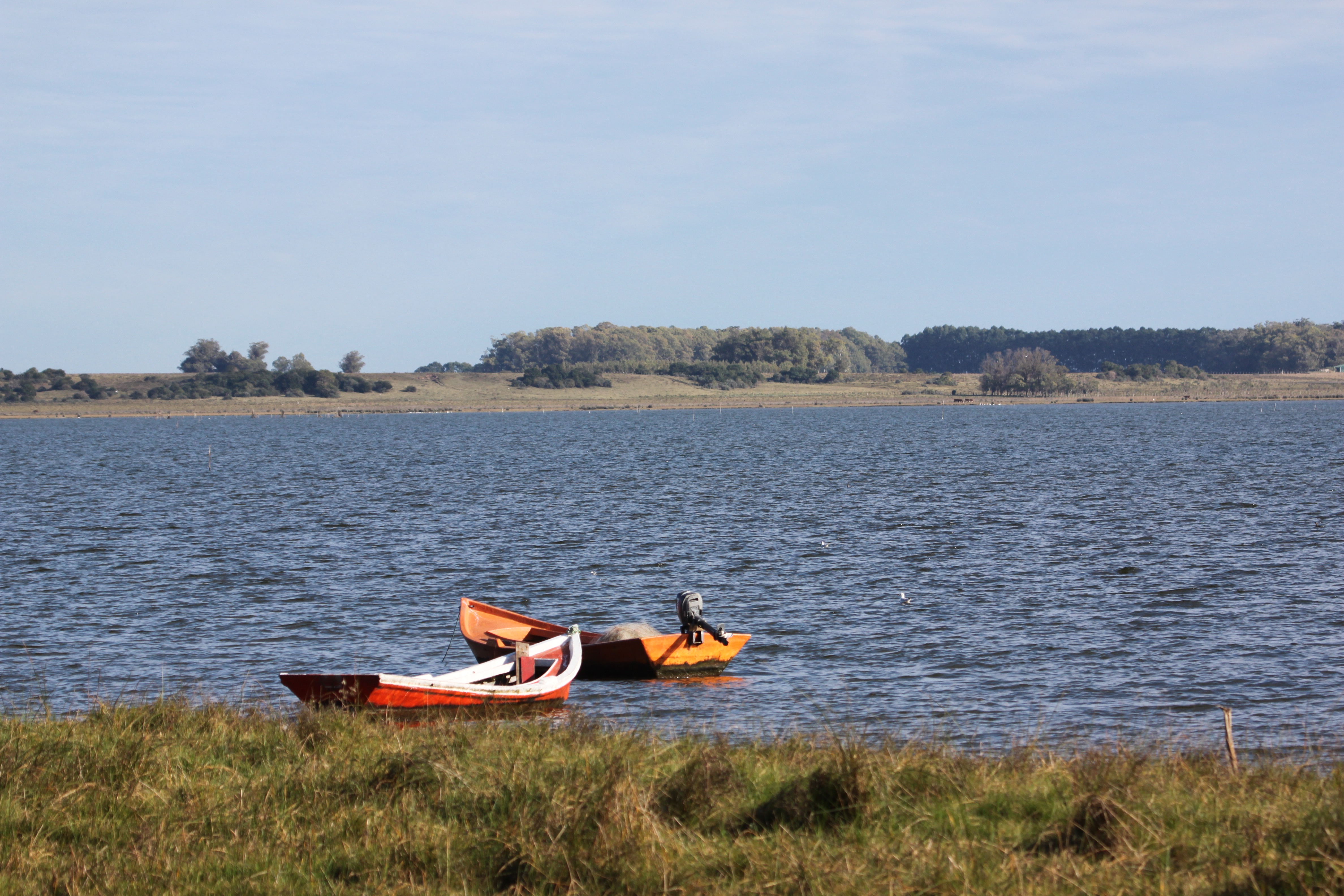 Laguna de Rocha (Stefano Barchiesi)