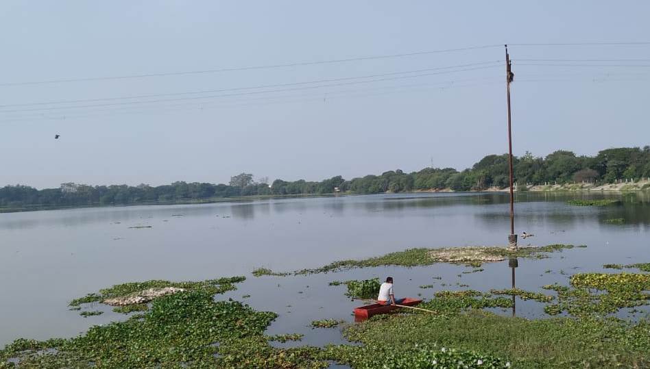 Fishing Activities