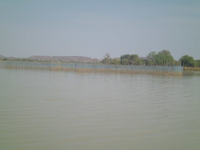 Enclos de pisciculture dans le lac