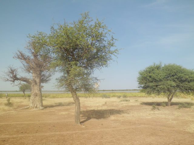 Paysage autour du lac Higa