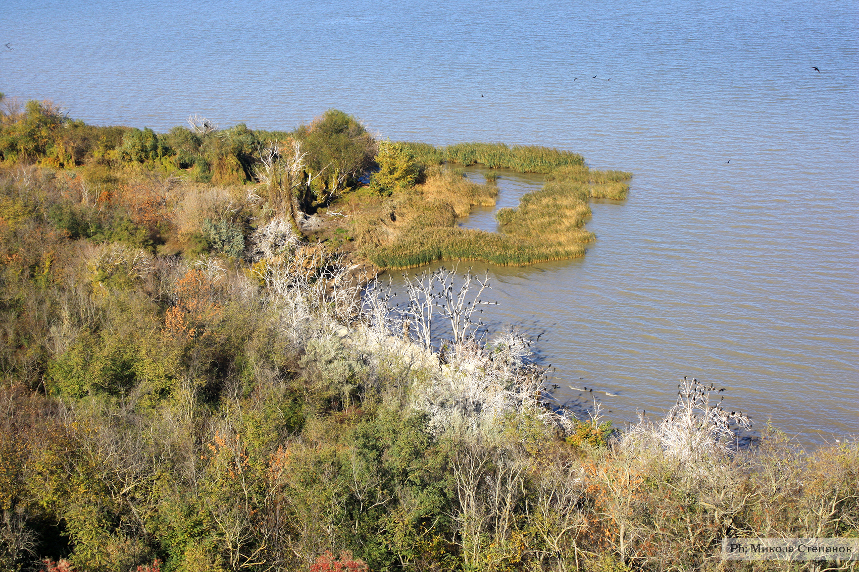 Northern Part of the Dniester Liman