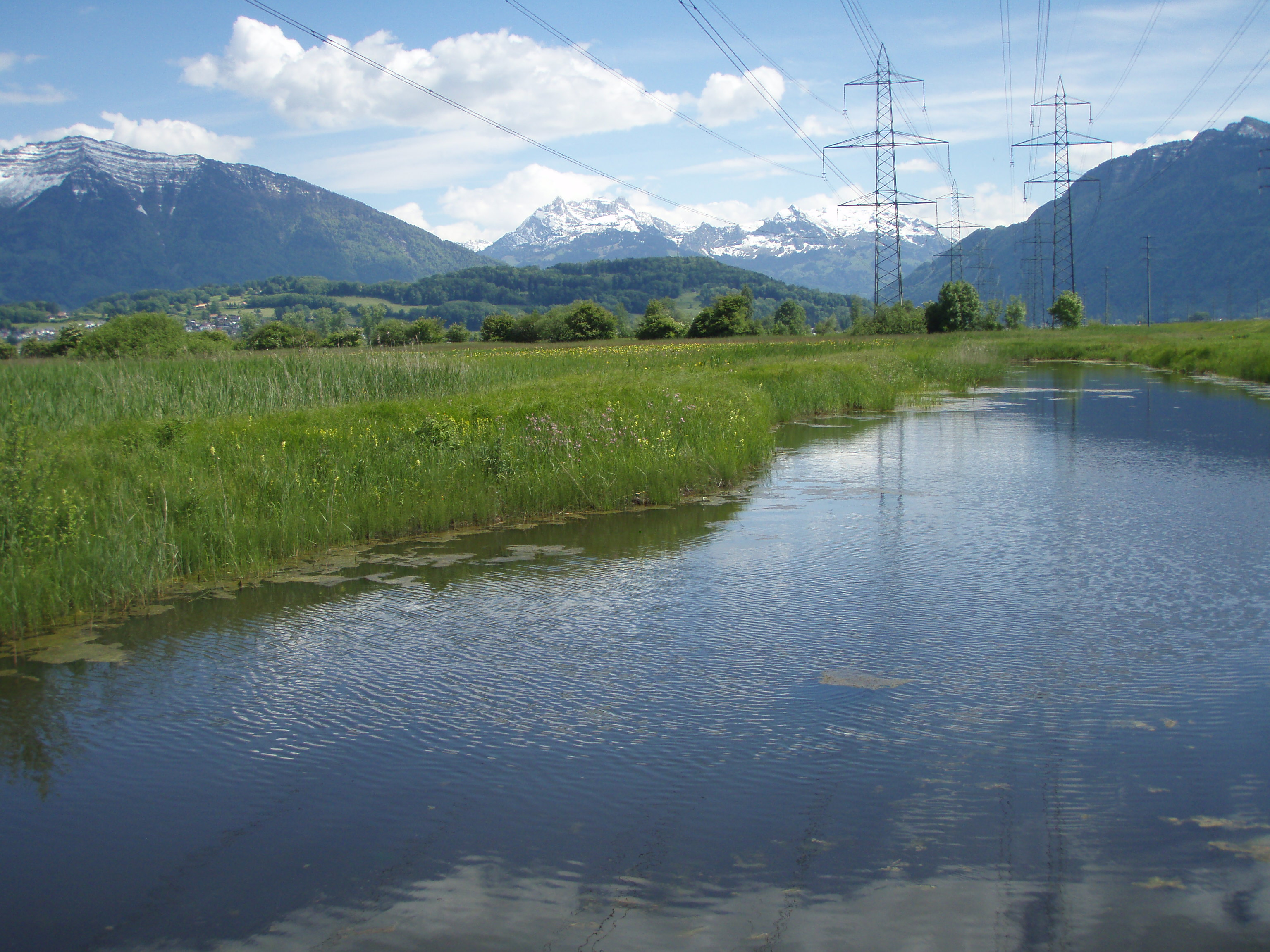 Ramsar site no. 509: Kaltbrunner Riet