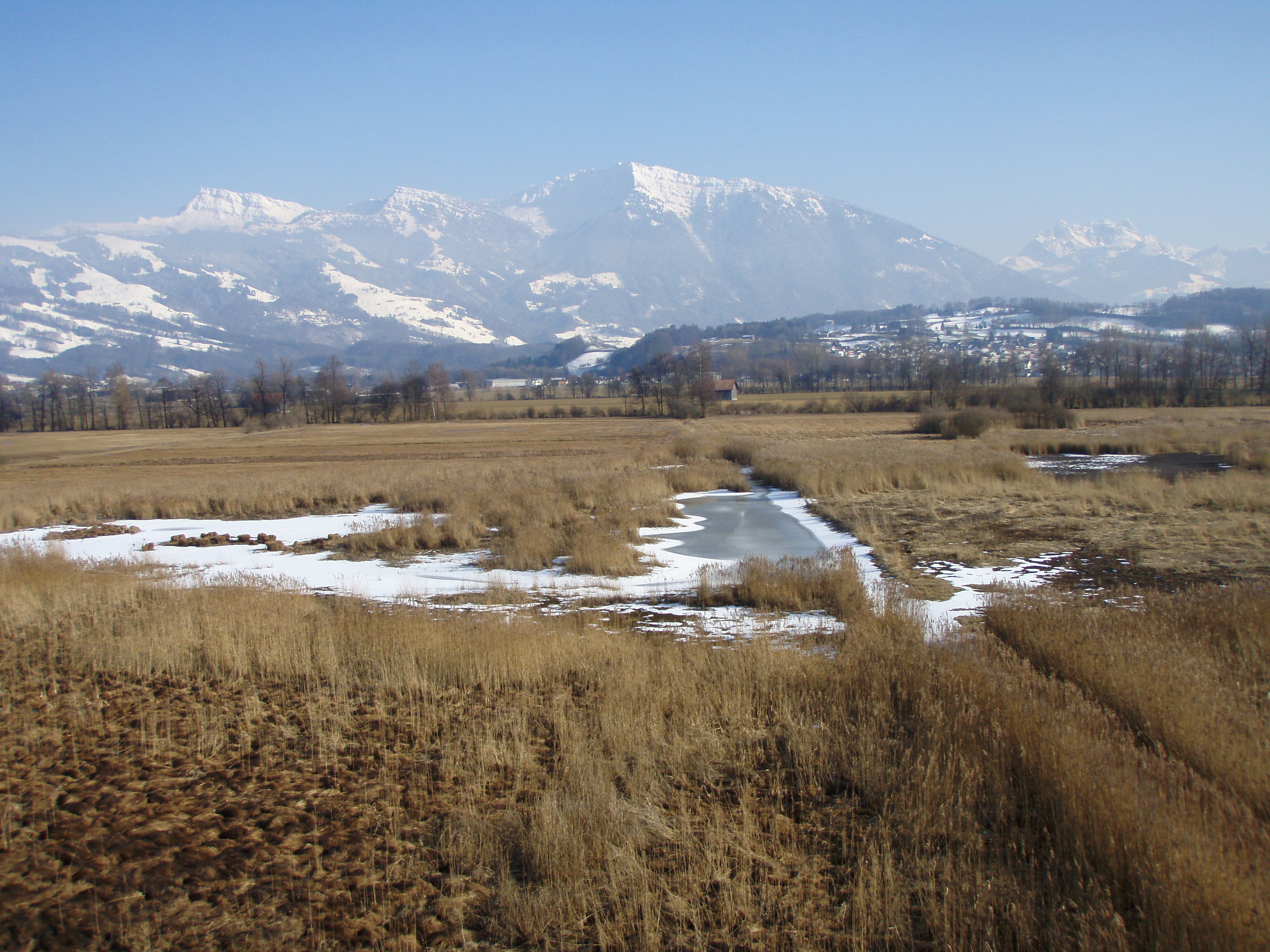 Ramsar site no. 509: Kaltbrunner Riet