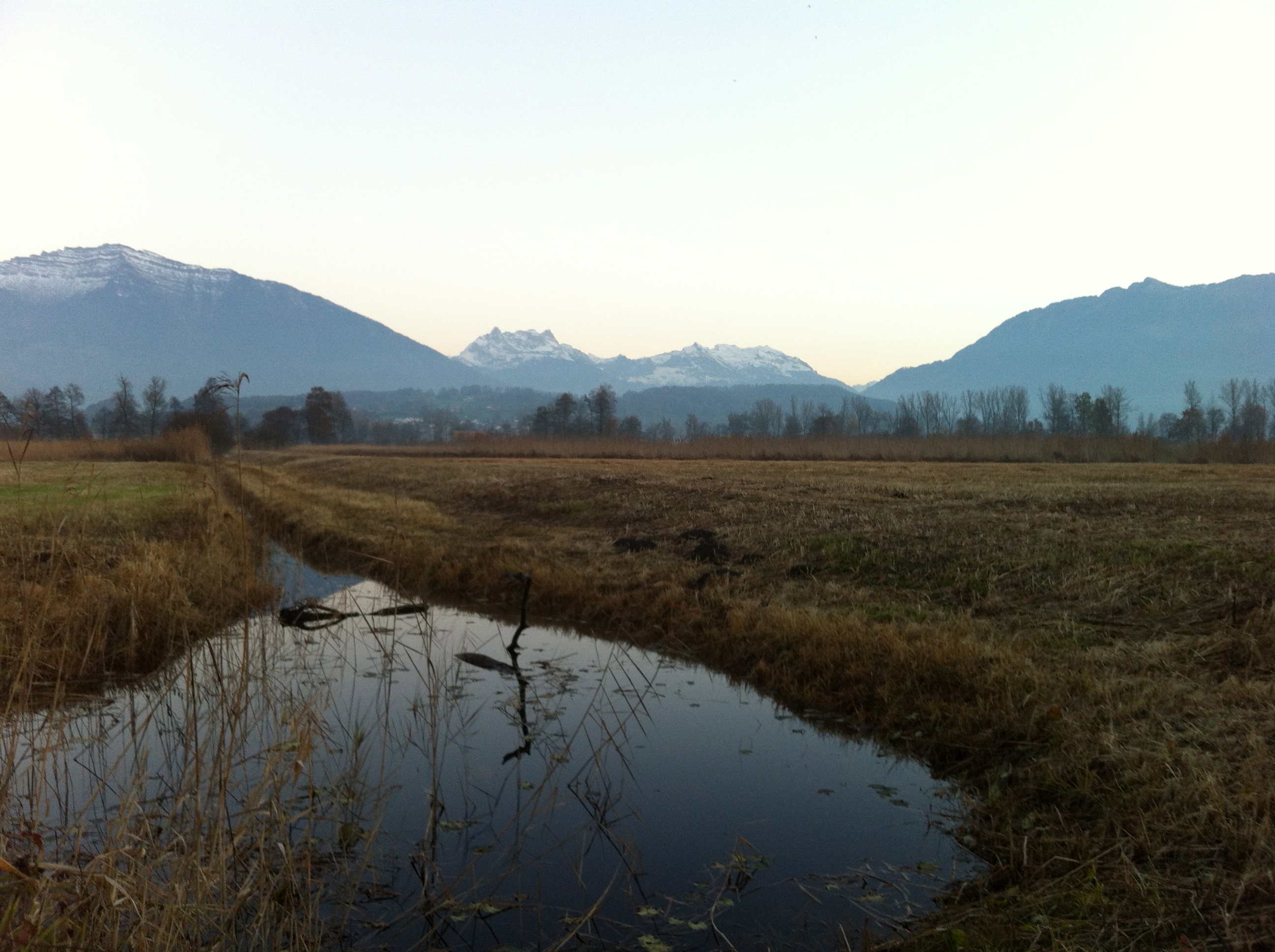 Ramsar site no. 509: Kaltbrunner Riet