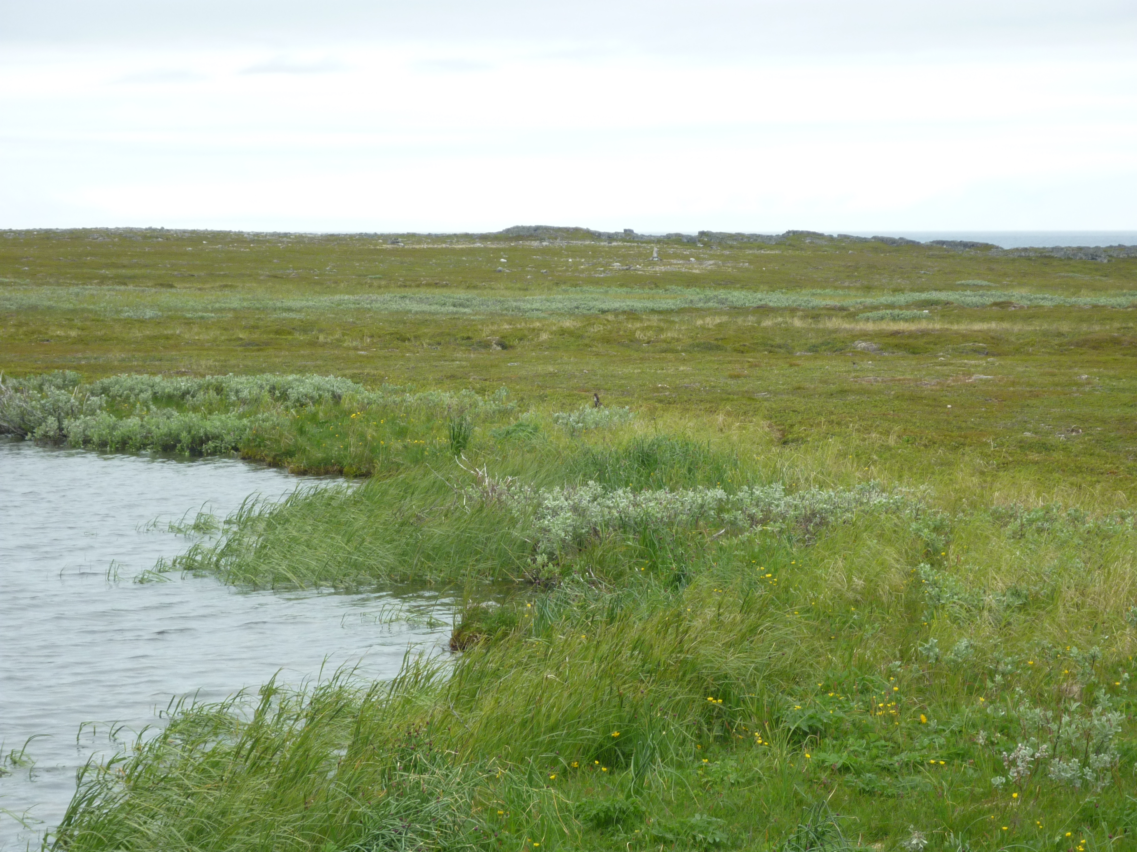 Lake and meadow in Slettnes