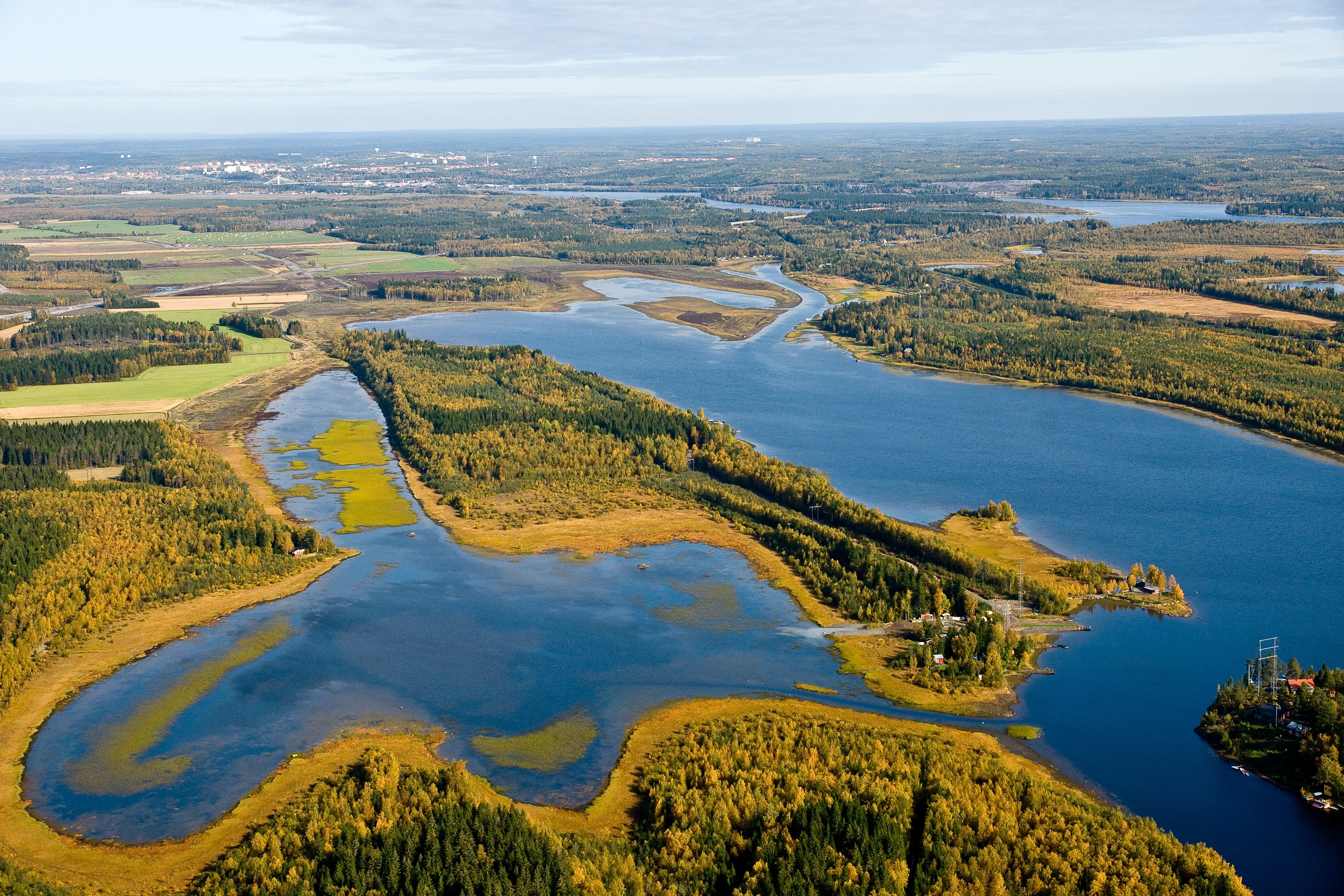 View over Umeälvens delta