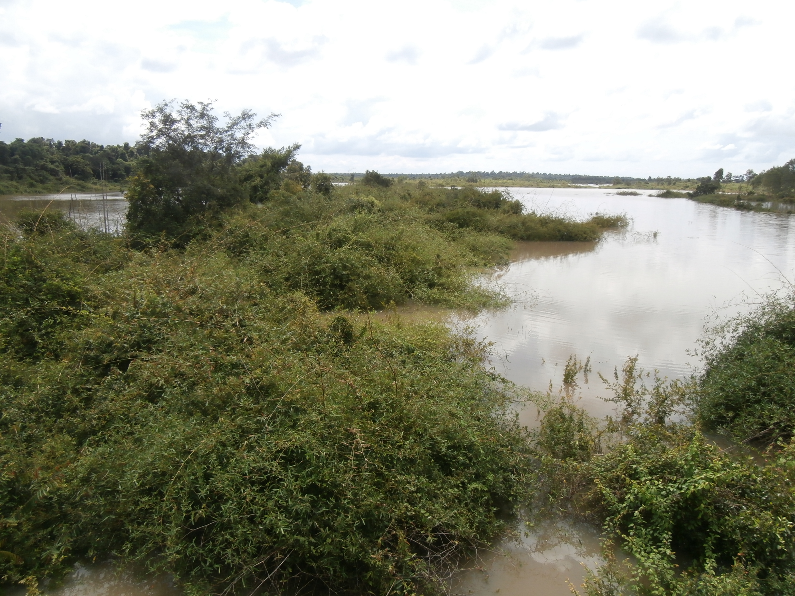 flooded forest of Songkram river.