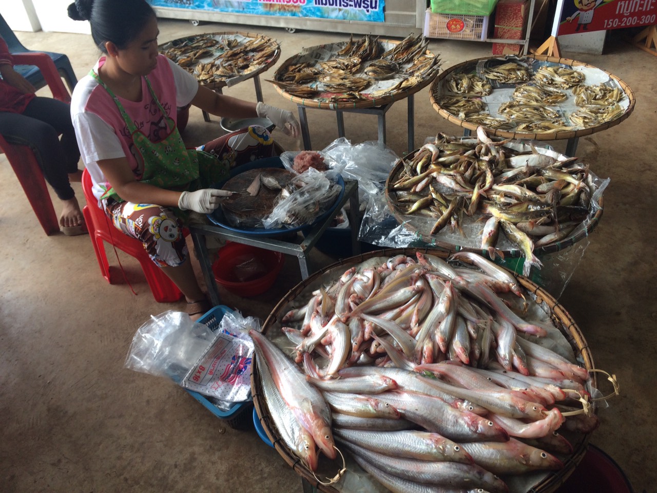 Fish from Songkhram river at the local marketplace.