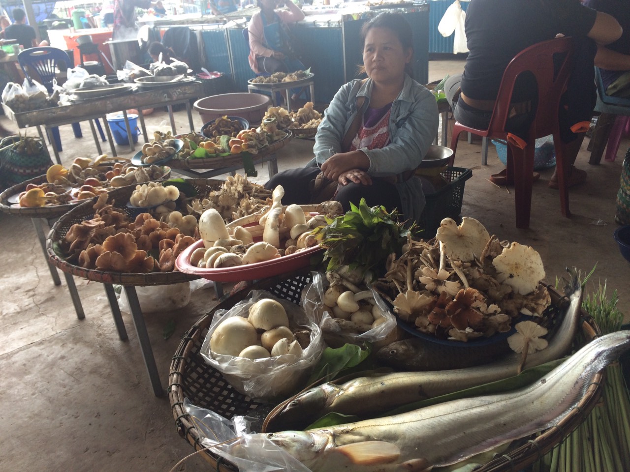 Fish from Songkhram river at the local marketplace.