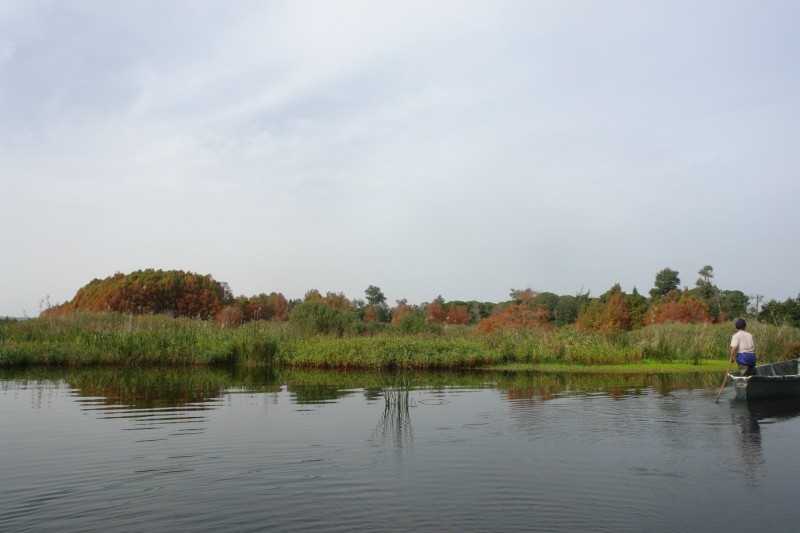 pêche d'anguille au lac Tonga