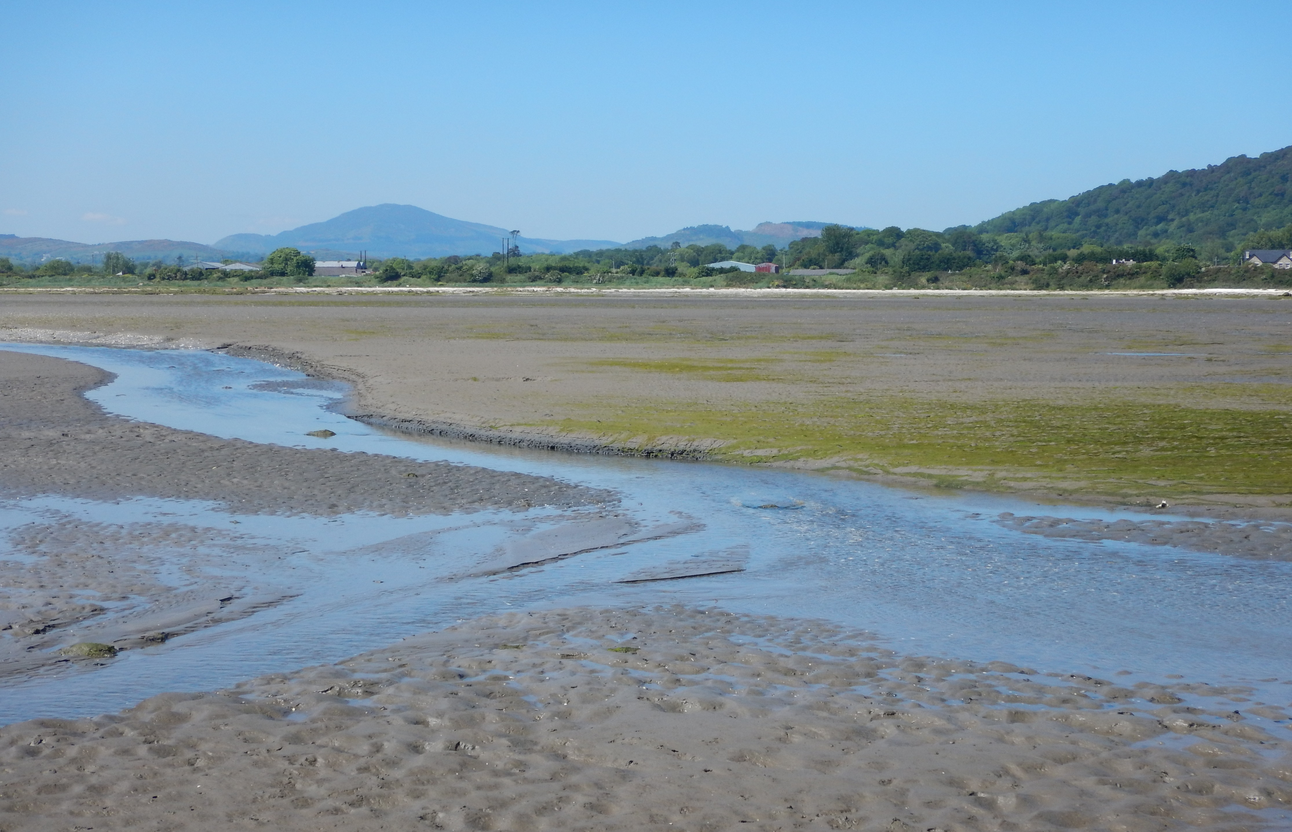 Dundalk Bay