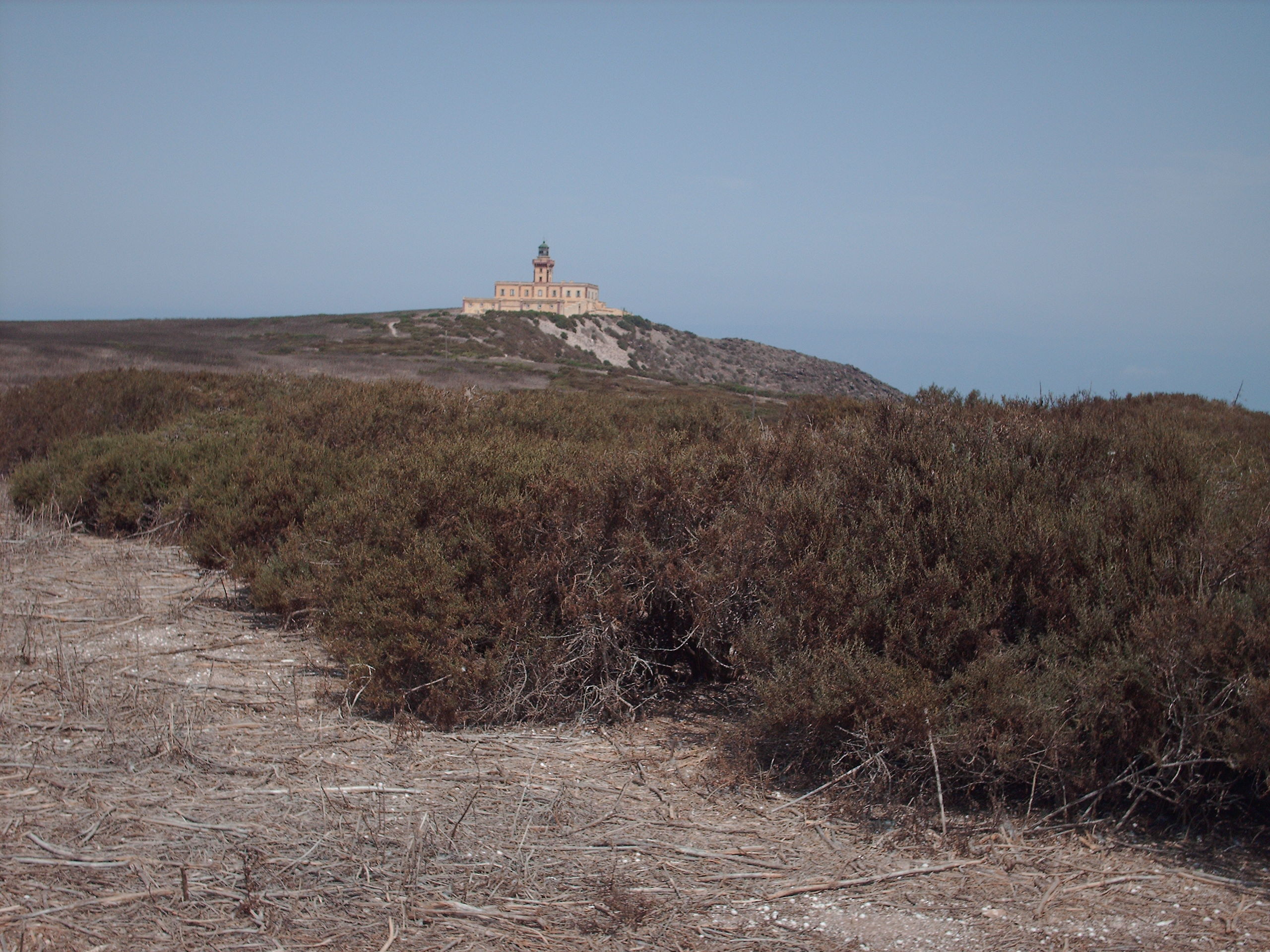 île de Rachgoun