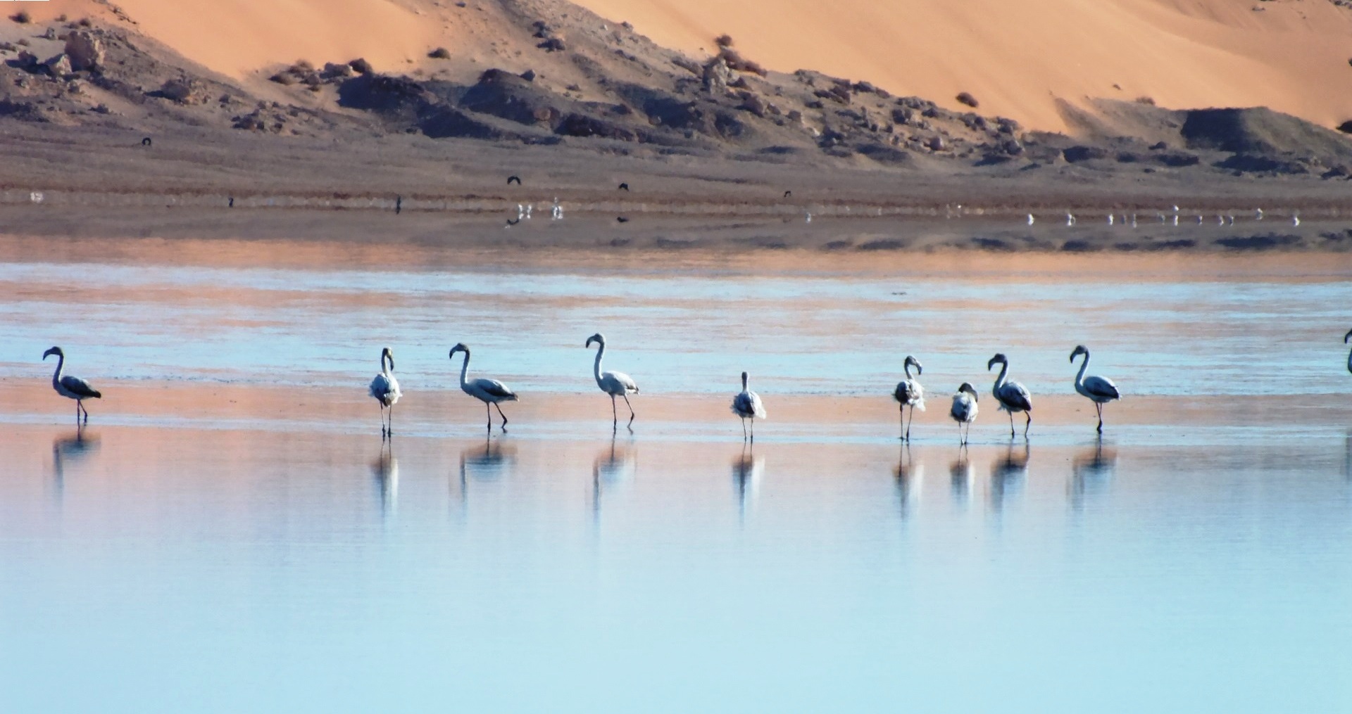 Photo du lac inférieur du site El Melah 