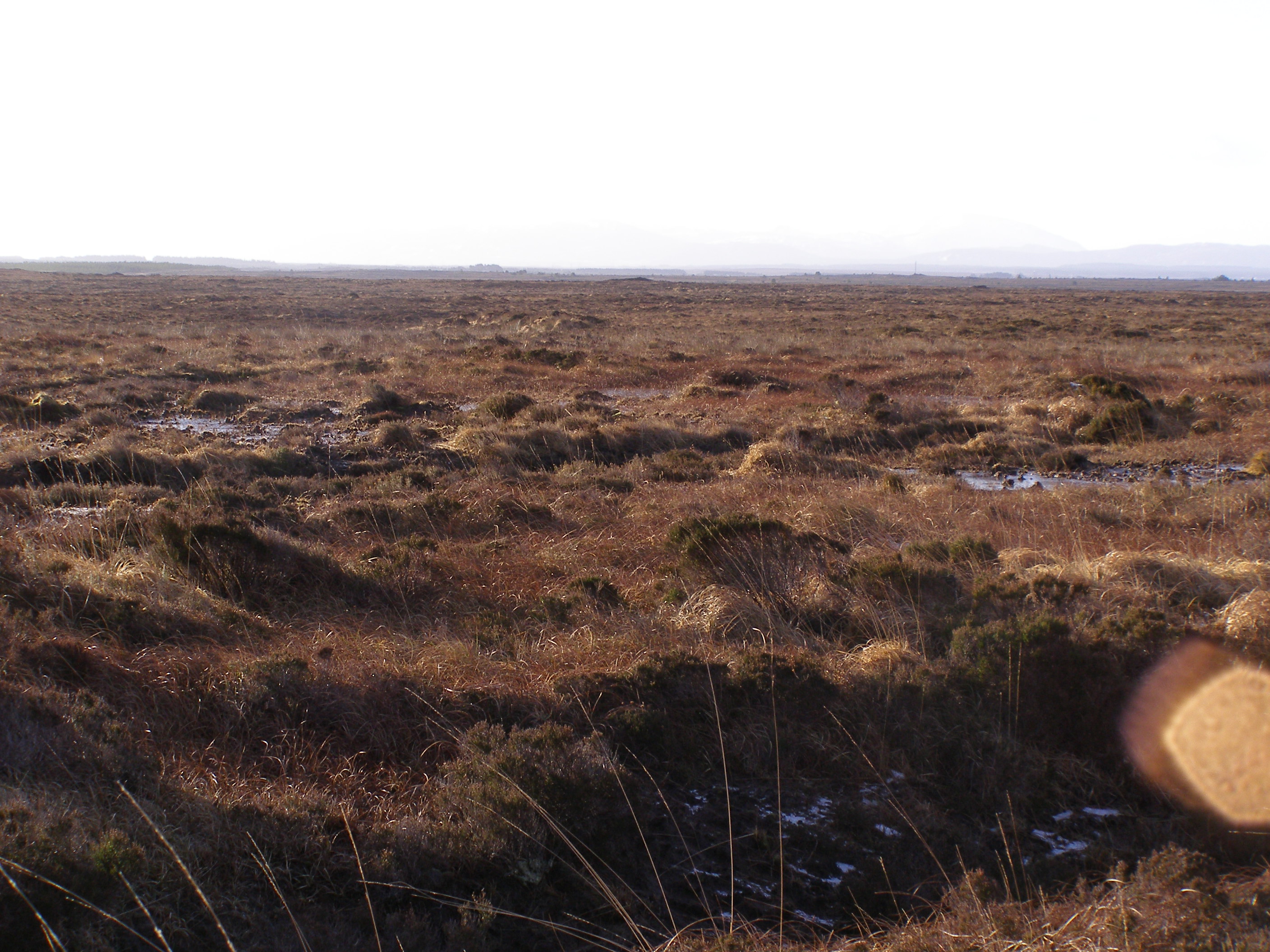 Blanket bog at Sheskin