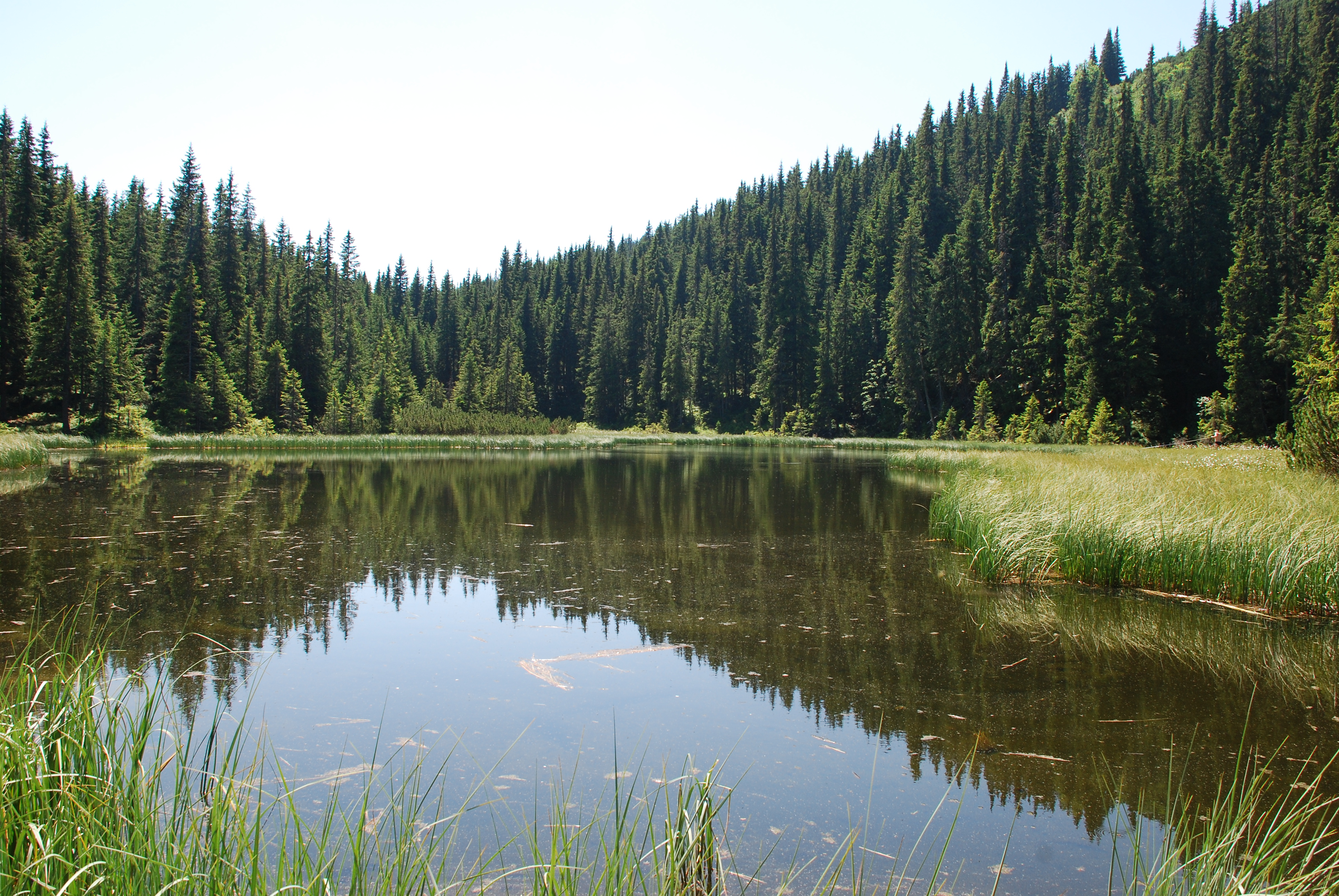 Highland middle- forest lake Maricheika